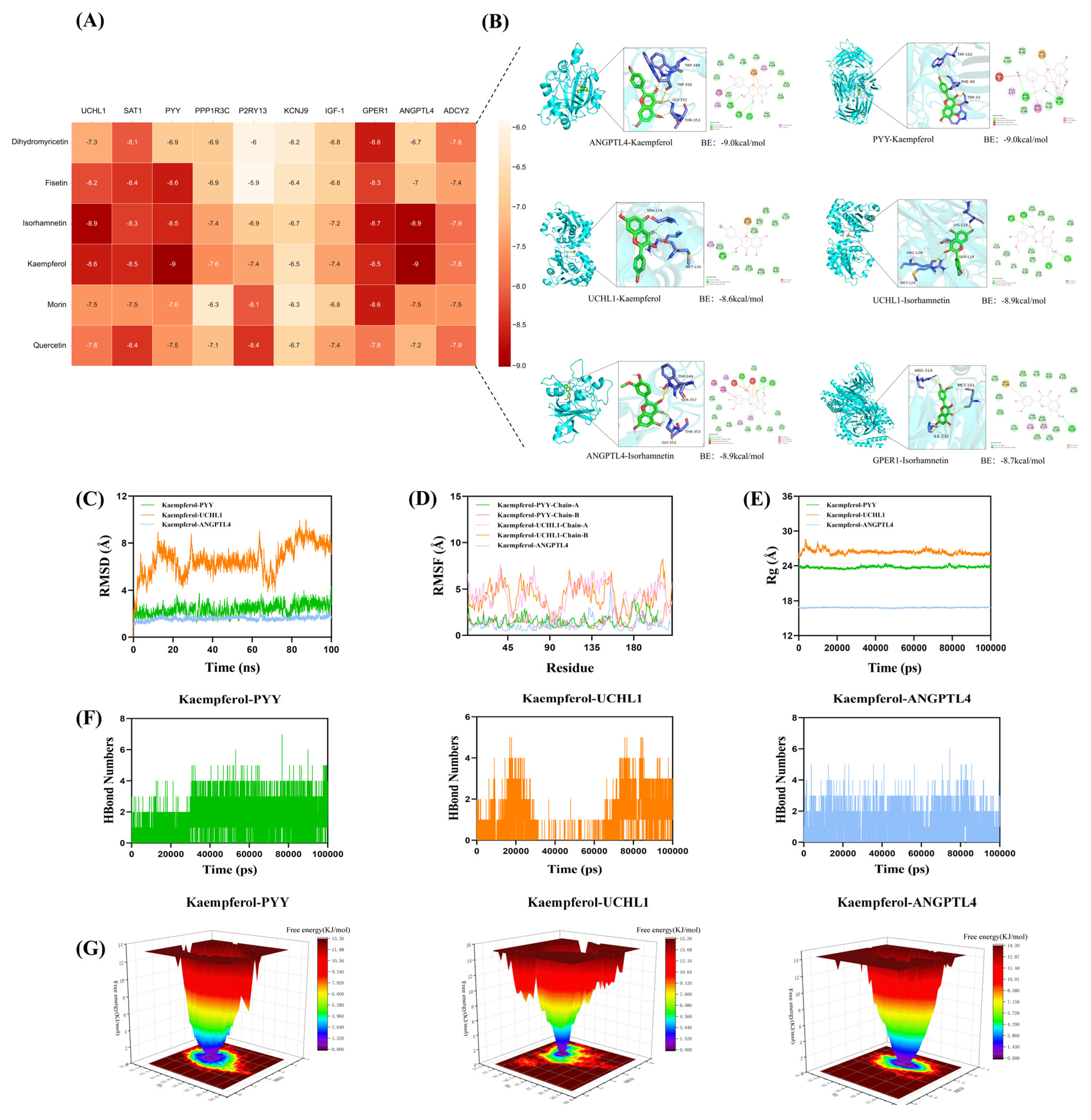 Antioxidants 14 01056 g007 Antioxidants 14 01056 g007