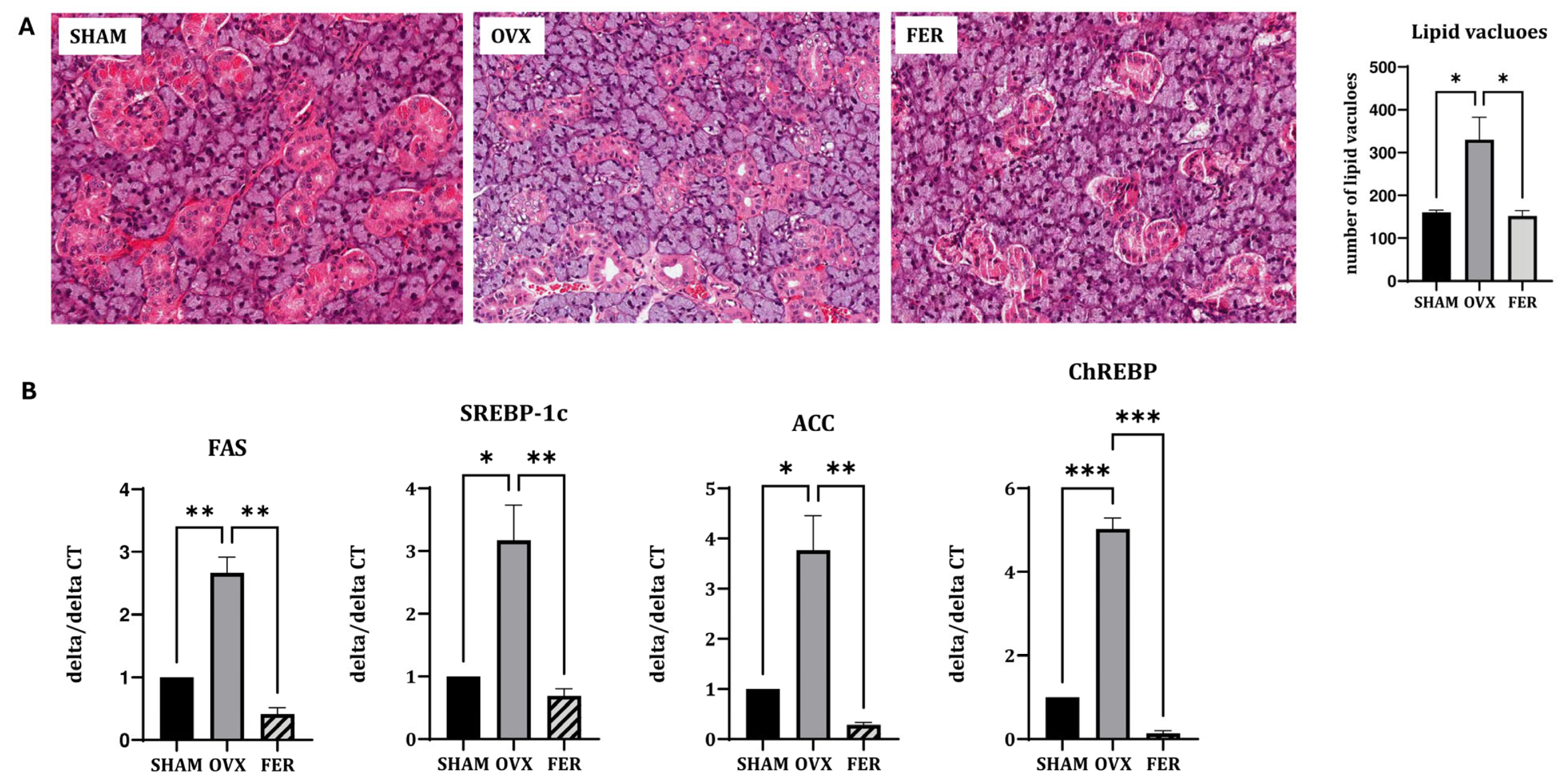 Antioxidants 14 01058 g002
