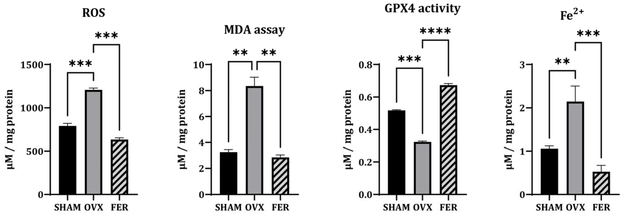 Antioxidants 14 01058 g003
