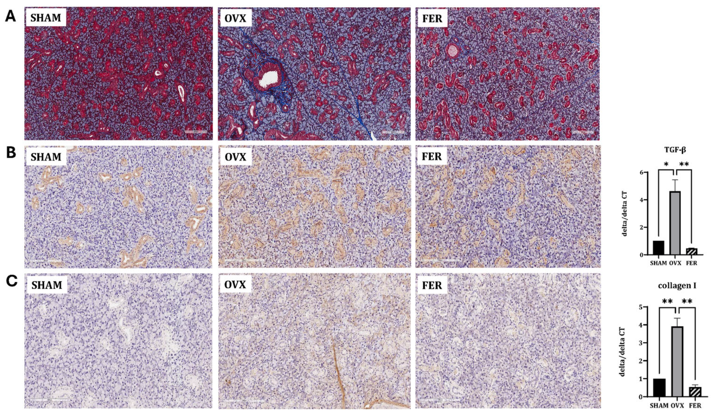Antioxidants 14 01058 g004