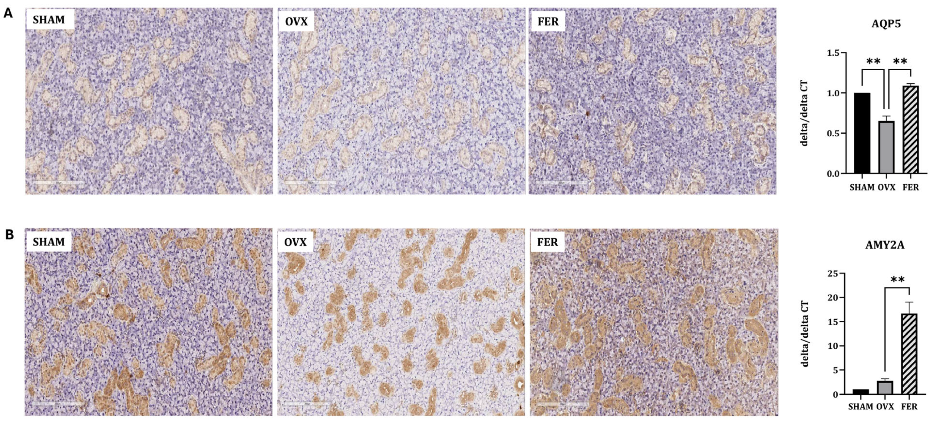 Antioxidants 14 01058 g005