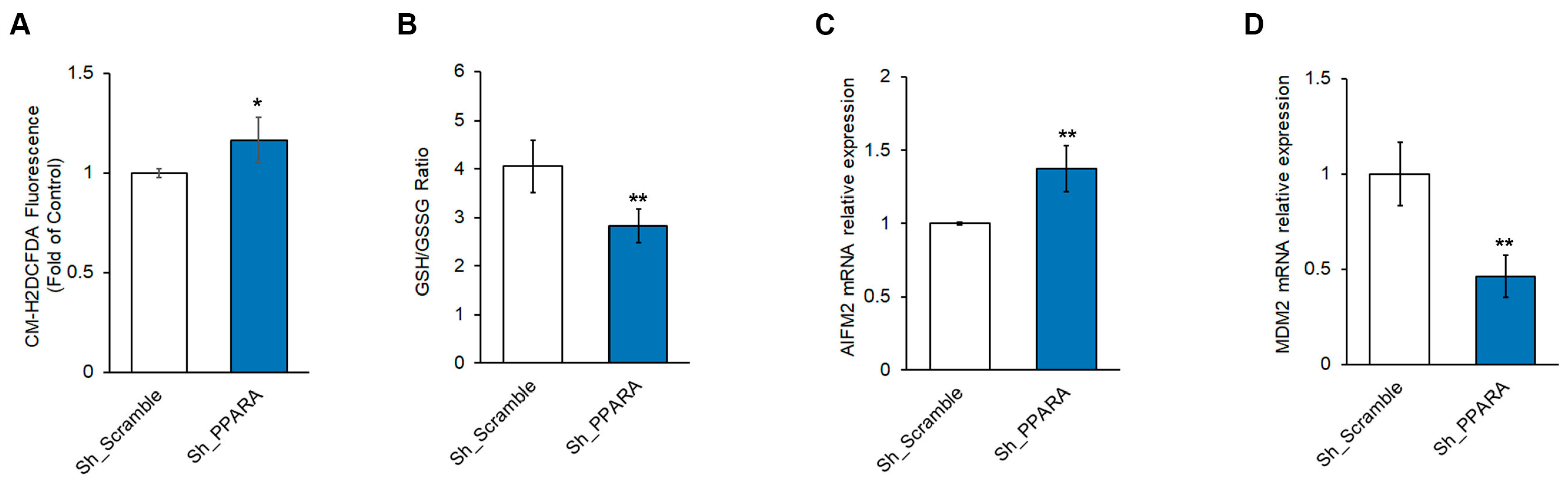 Antioxidants 14 01059 g003 Antioxidants 14 01059 g003