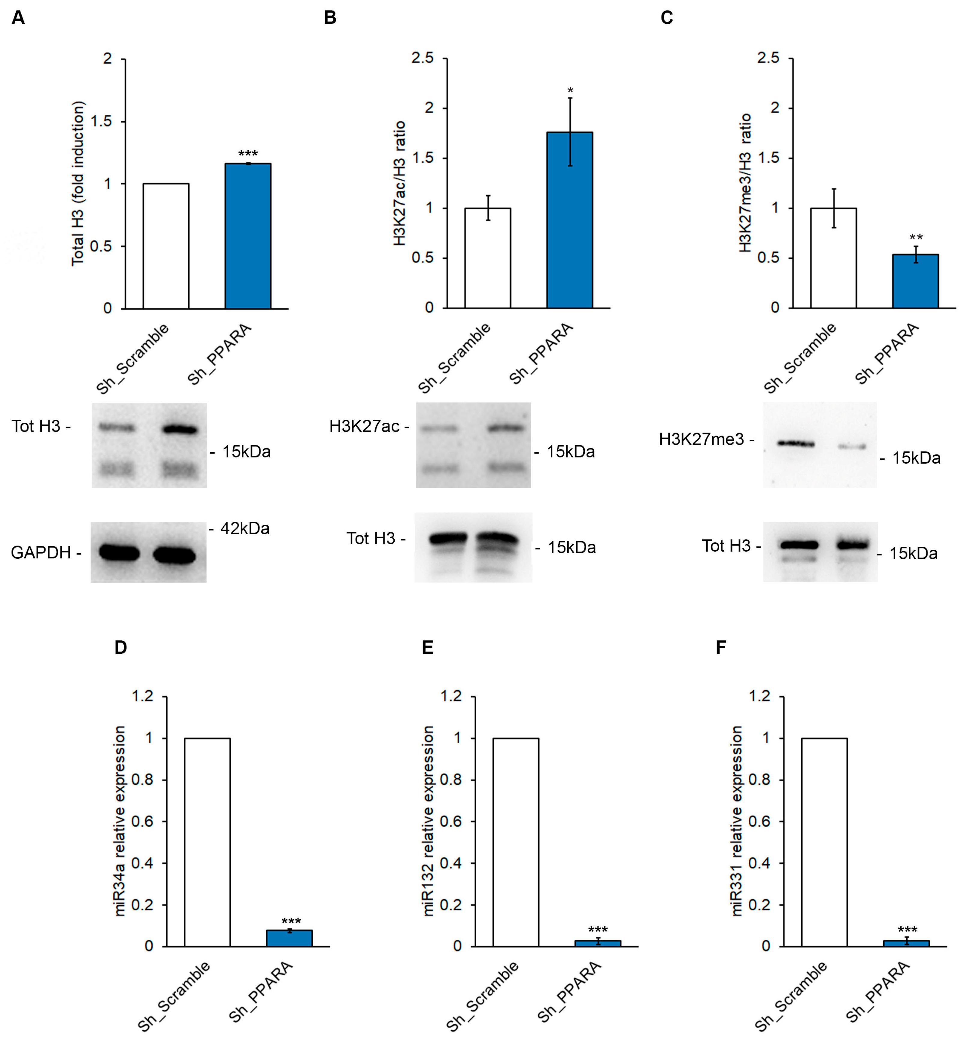 Antioxidants 14 01059 g004 Antioxidants 14 01059 g004