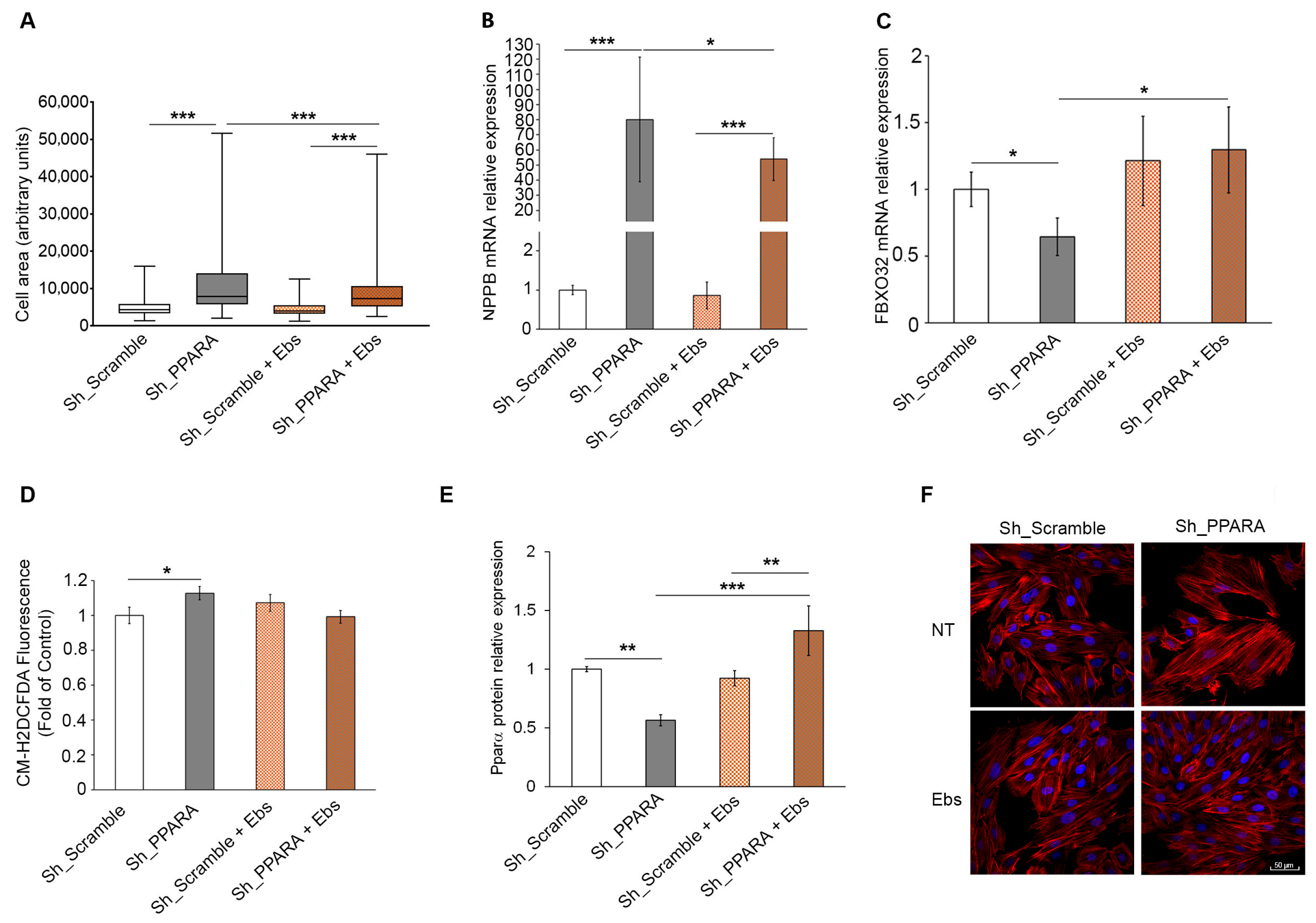 Antioxidants 14 01059 g005 Antioxidants 14 01059 g005