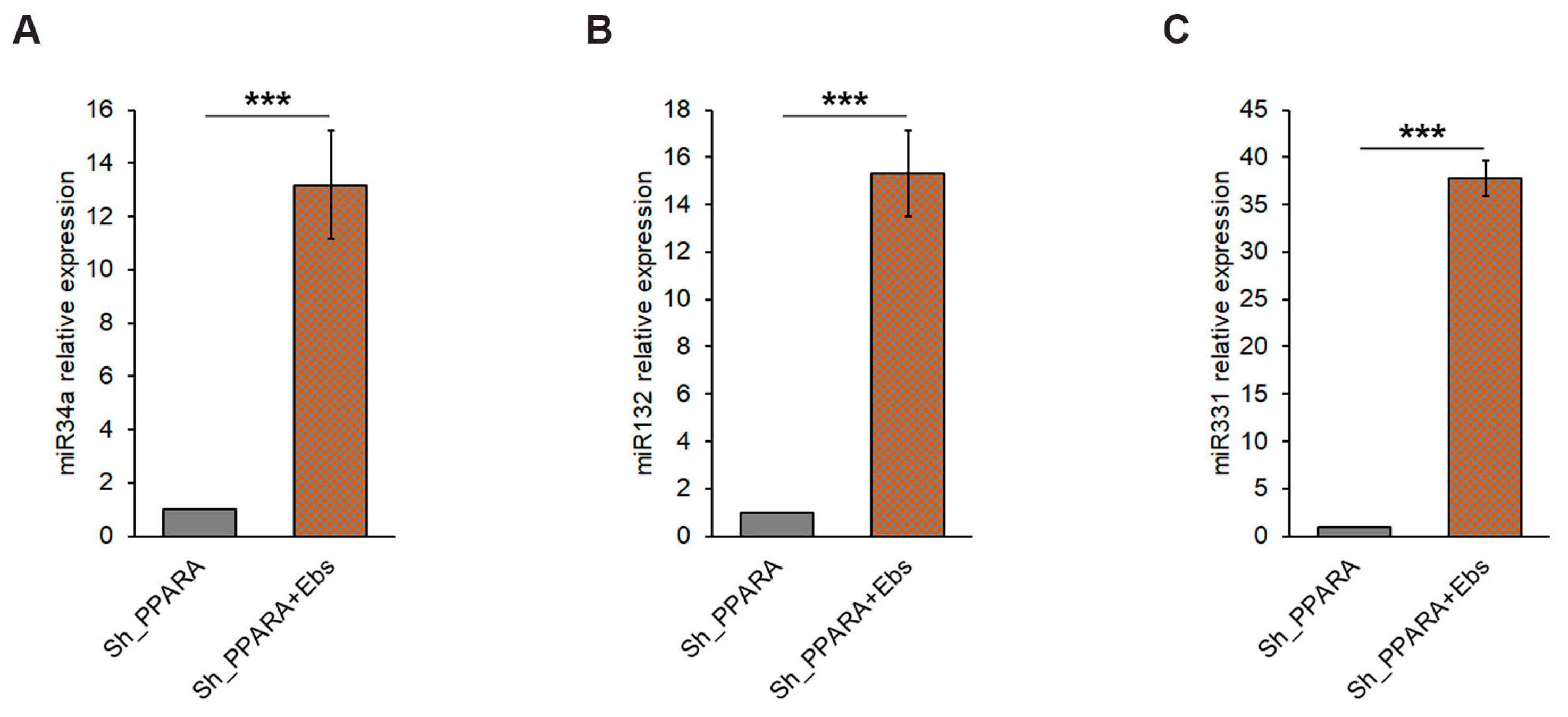 Antioxidants 14 01059 g006 Antioxidants 14 01059 g006