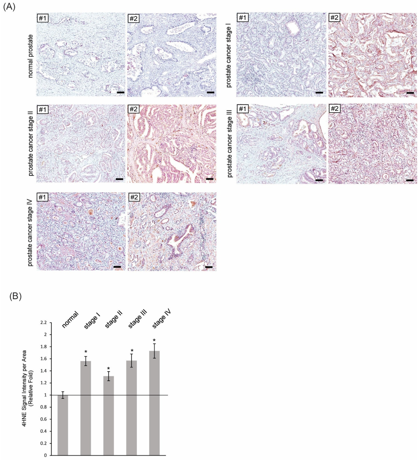 Antioxidants 14 01060 g004