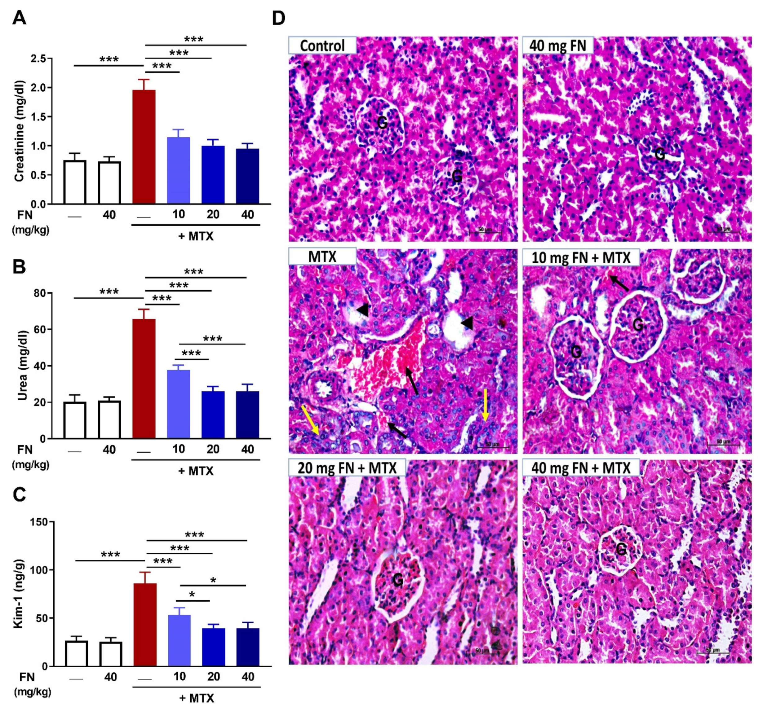 Antioxidants 14 01061 g001 Antioxidants 14 01061 g001