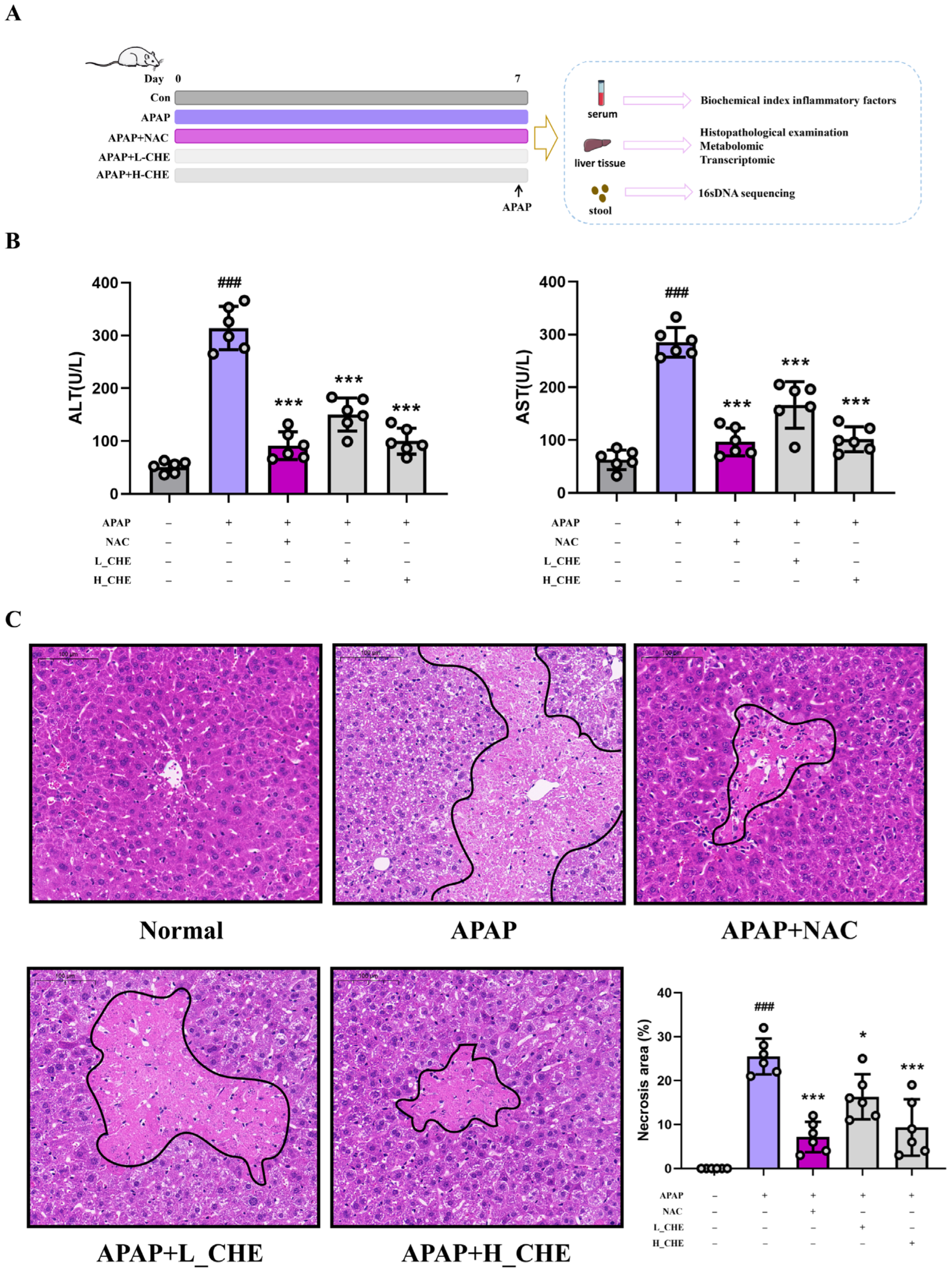 Antioxidants 14 01063 g001 Antioxidants 14 01063 g001