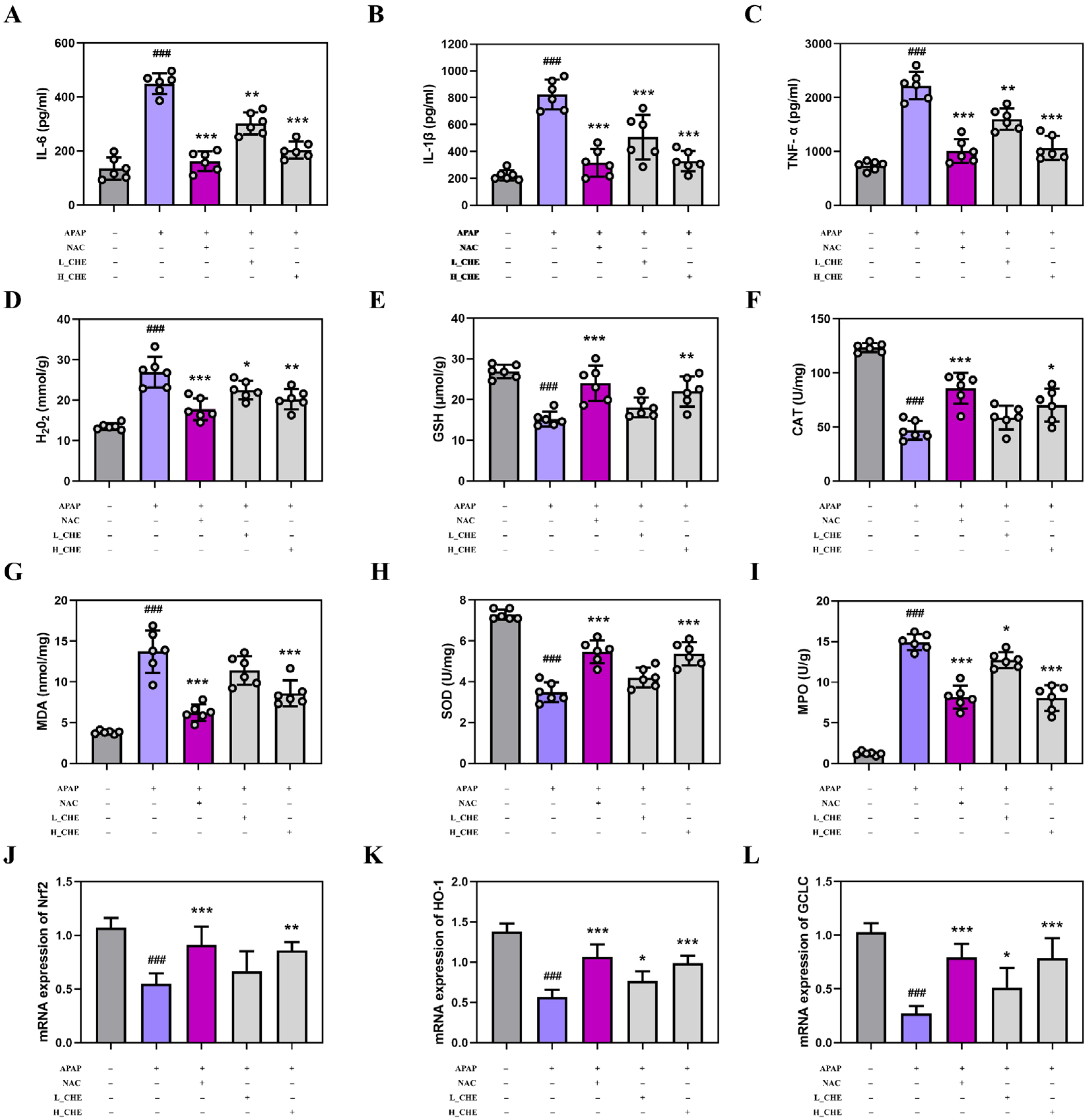 Antioxidants 14 01063 g002 Antioxidants 14 01063 g002