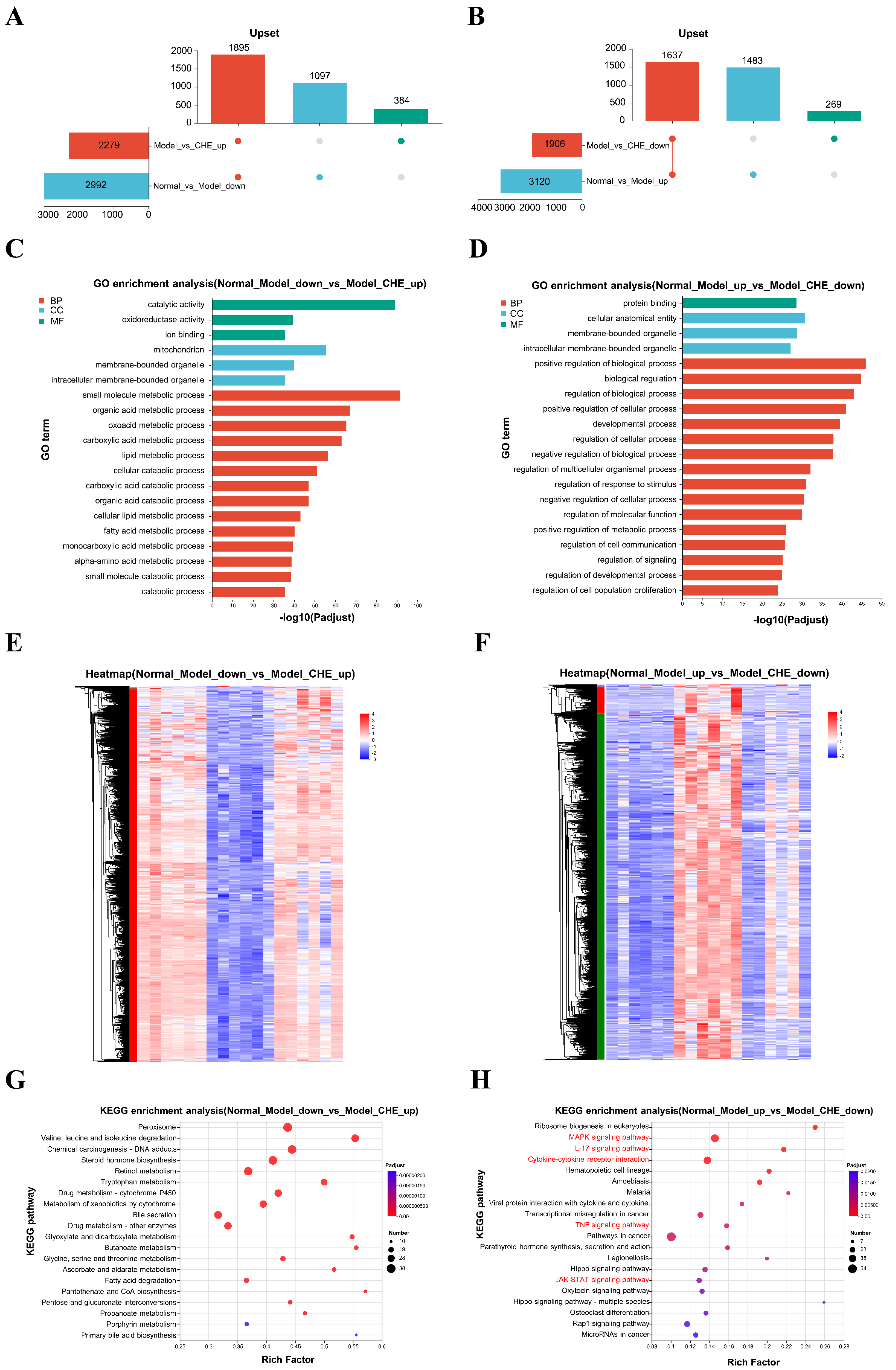Antioxidants 14 01063 g008 Antioxidants 14 01063 g008