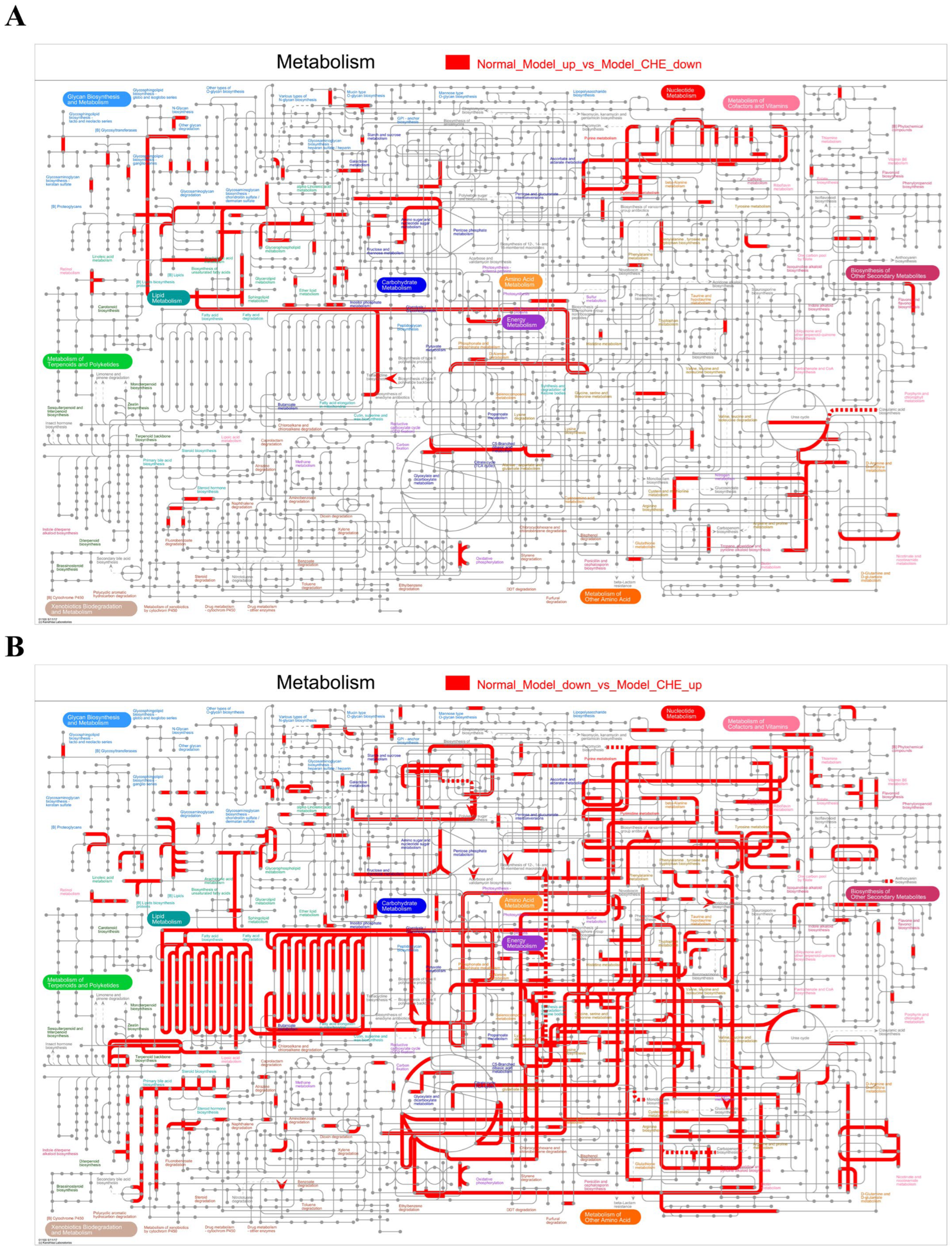 Antioxidants 14 01063 g009 Antioxidants 14 01063 g009