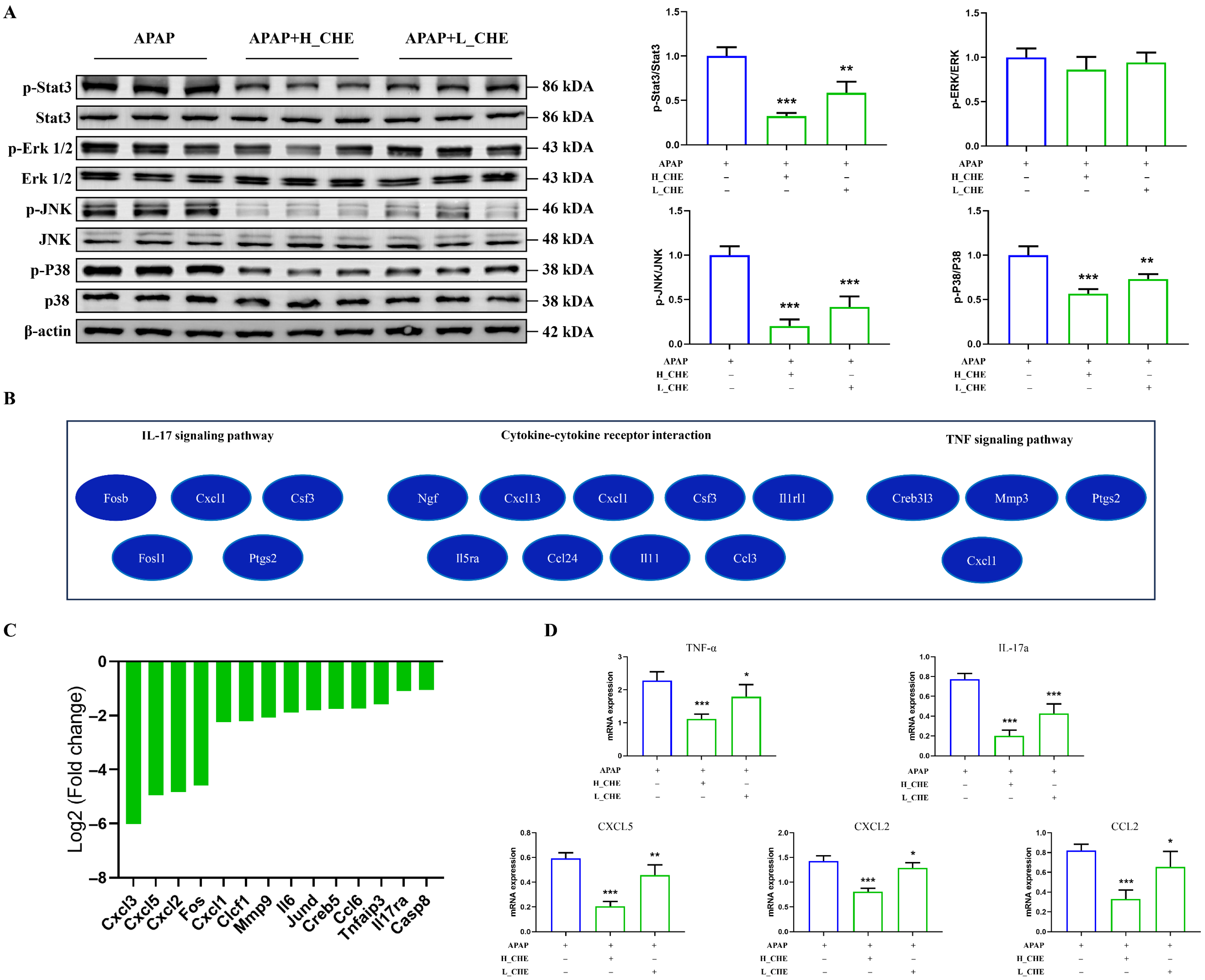 Antioxidants 14 01063 g010 Antioxidants 14 01063 g010