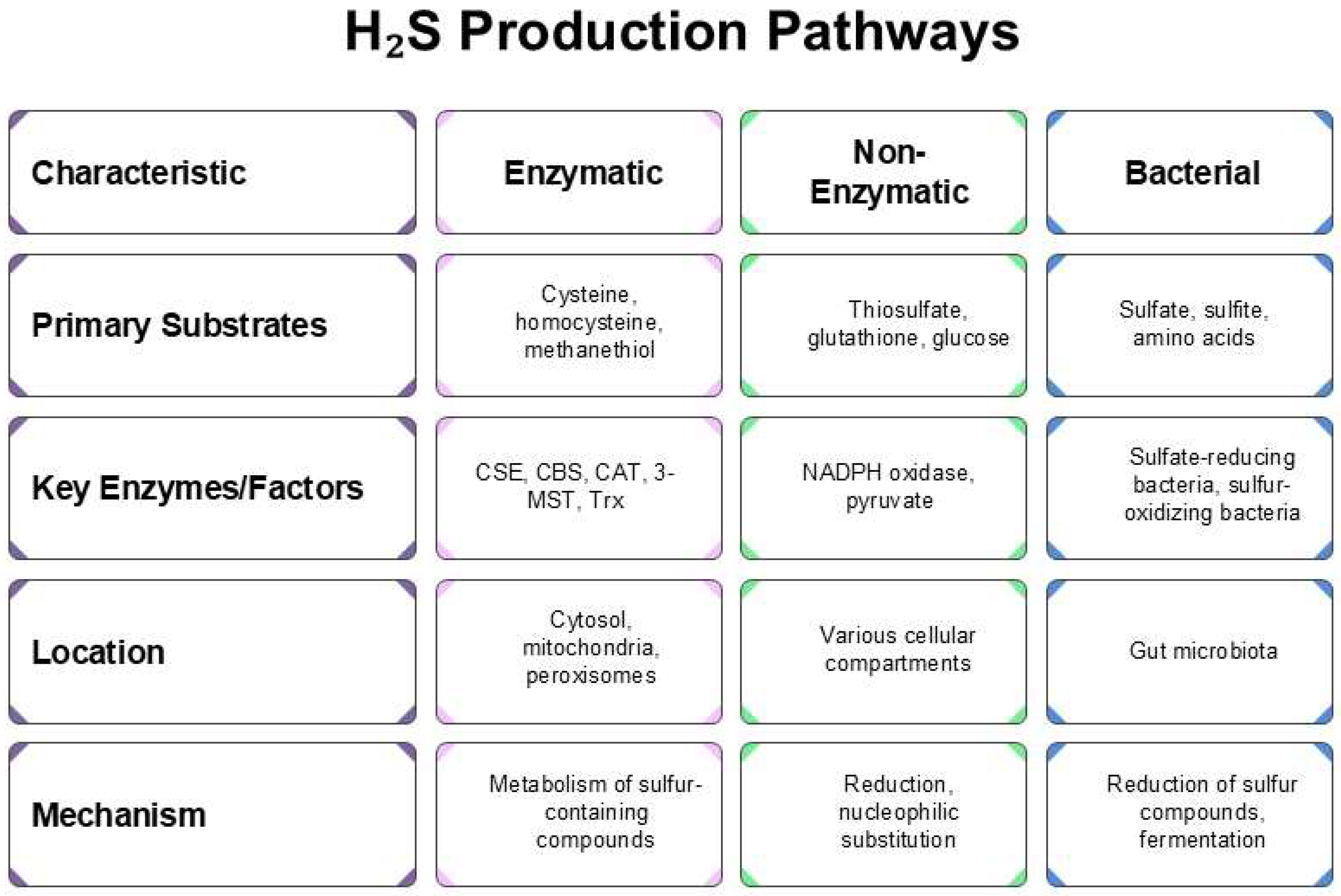 Antioxidants 14 01064 g001
