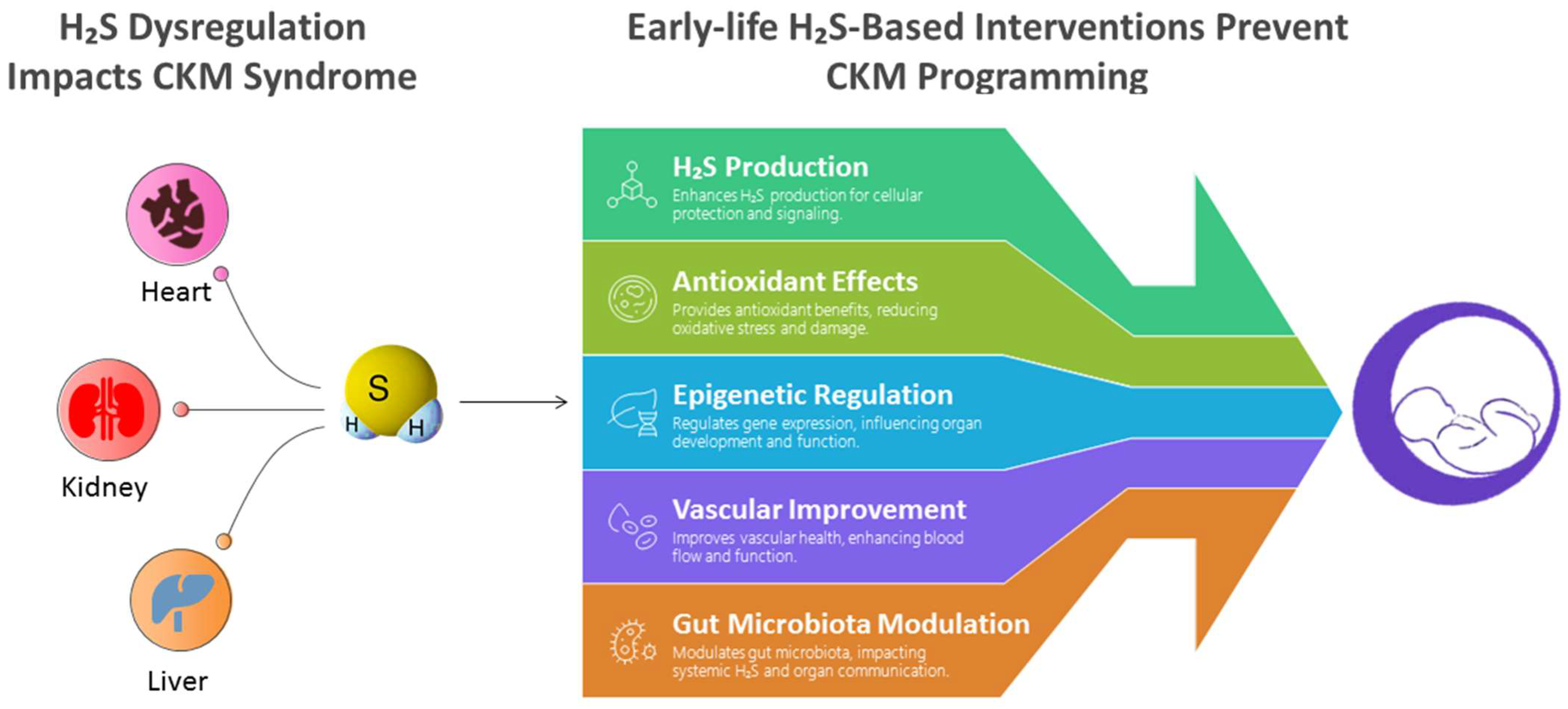 Antioxidants 14 01064 g004