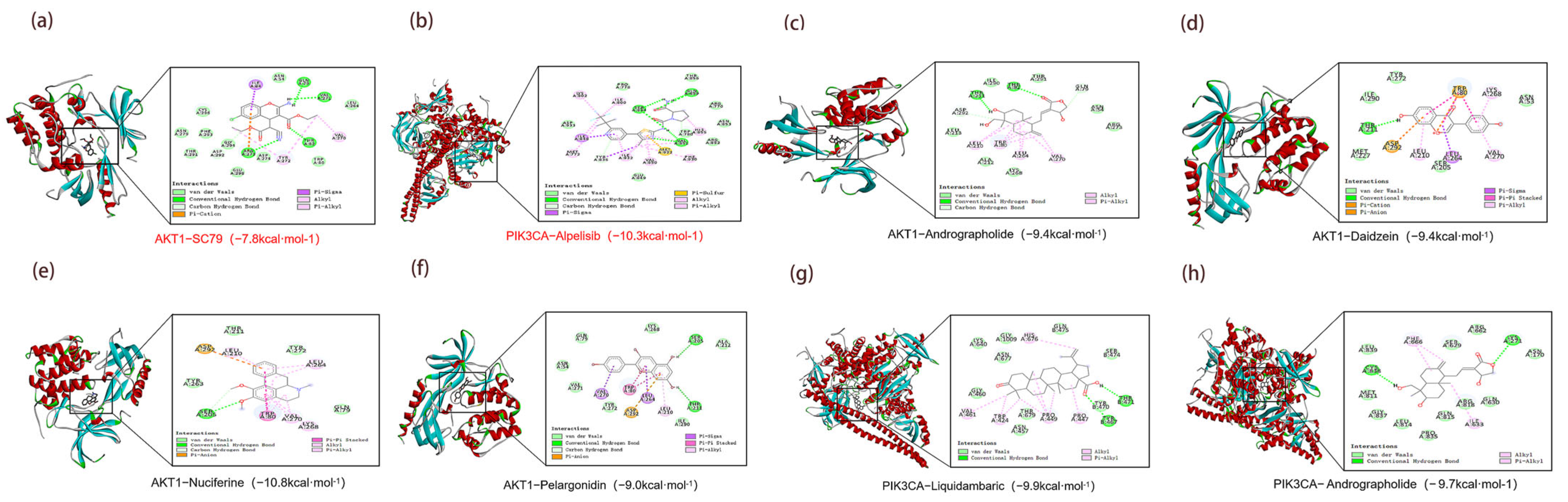 Antioxidants 14 01065 g008 Antioxidants 14 01065 g008