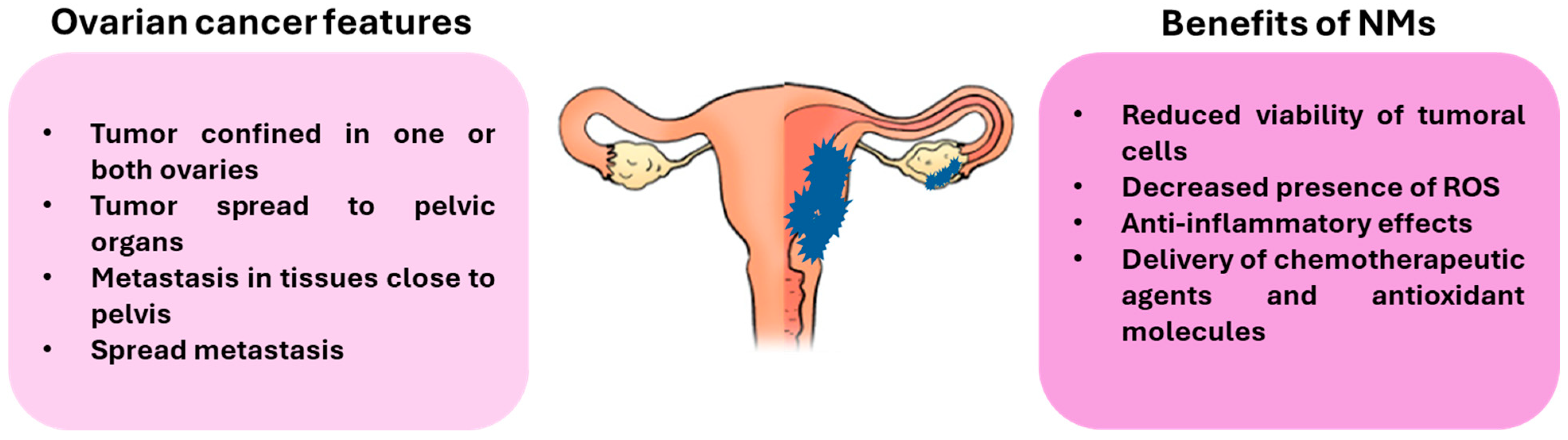 Antioxidants 14 01066 g002 Antioxidants 14 01066 g002
