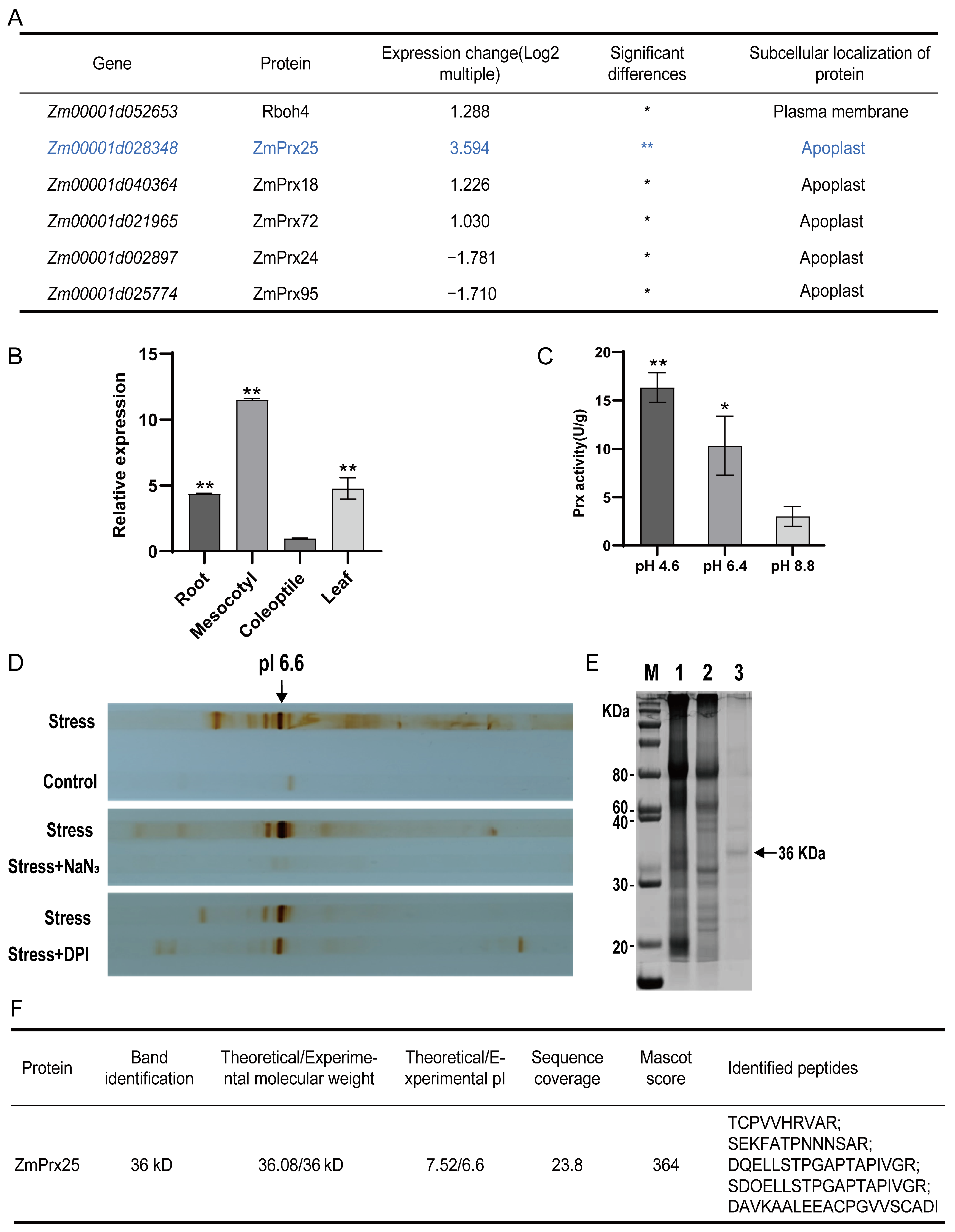 Antioxidants 14 01067 g002 Antioxidants 14 01067 g002