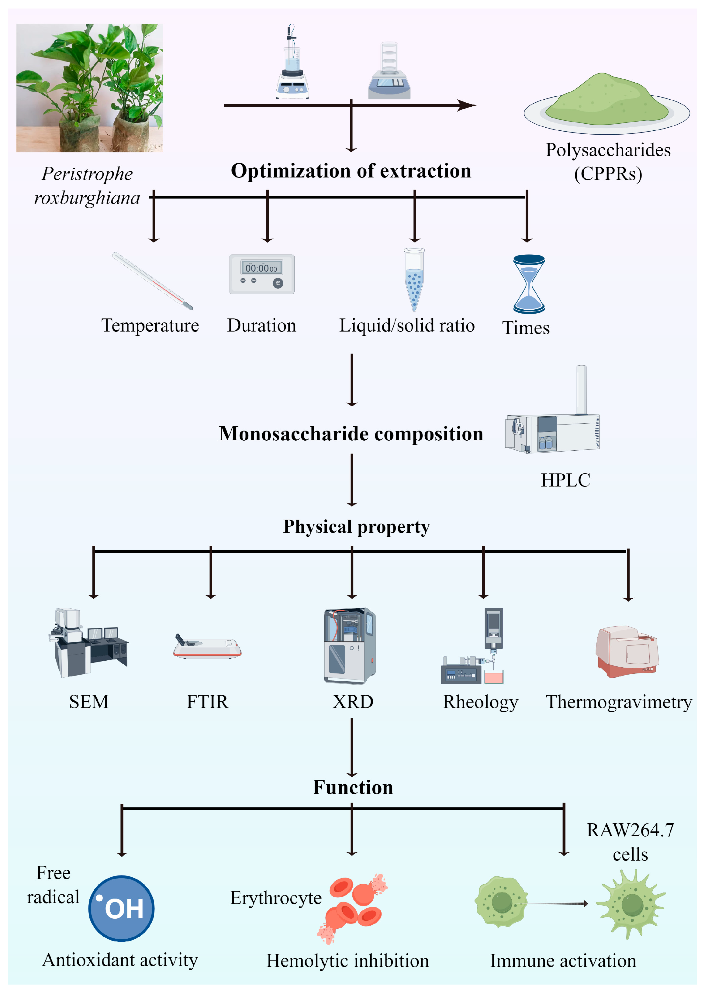 Antioxidants 14 01072 g001 Antioxidants 14 01072 g001