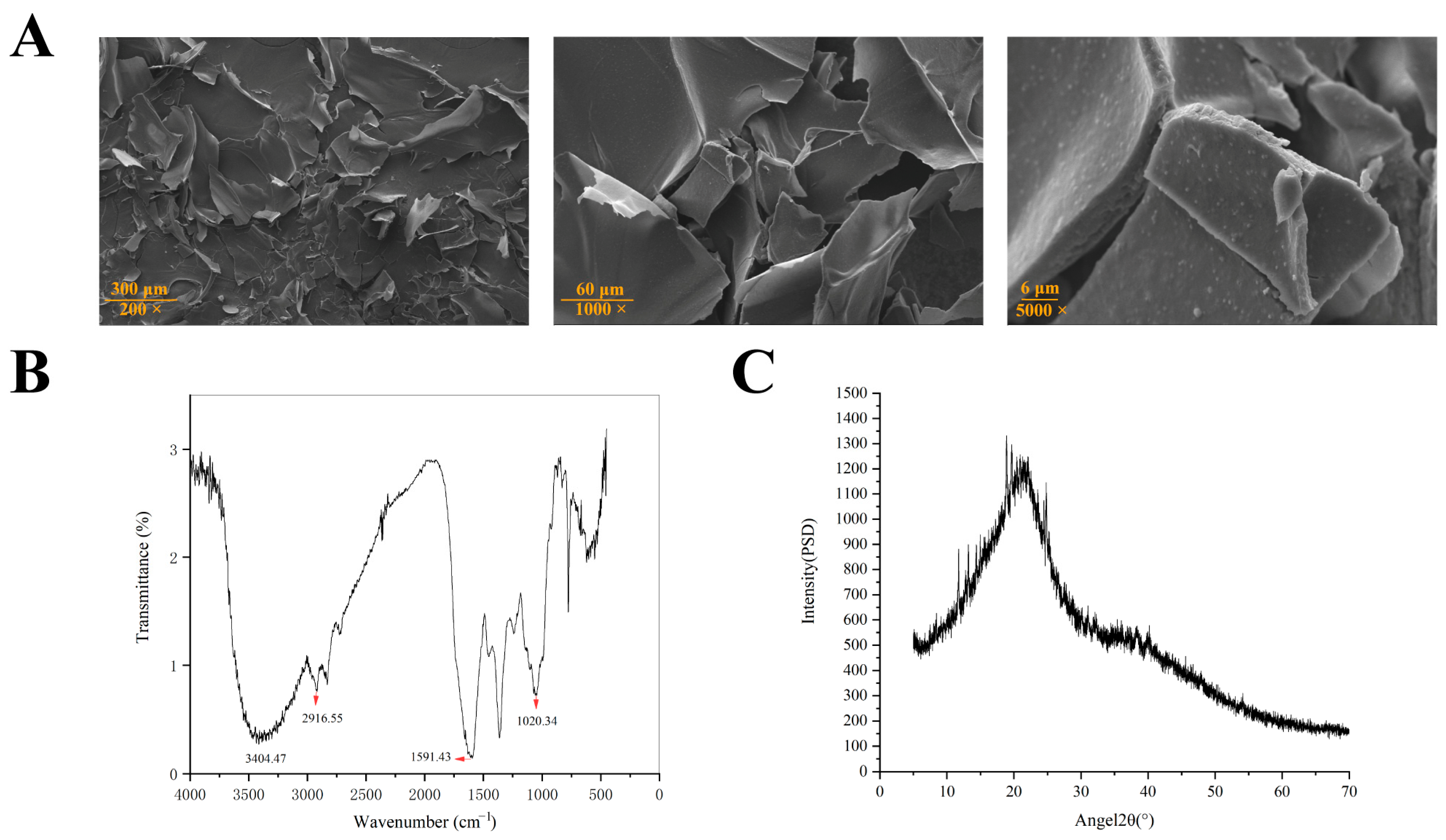 Antioxidants 14 01072 g005 Antioxidants 14 01072 g005