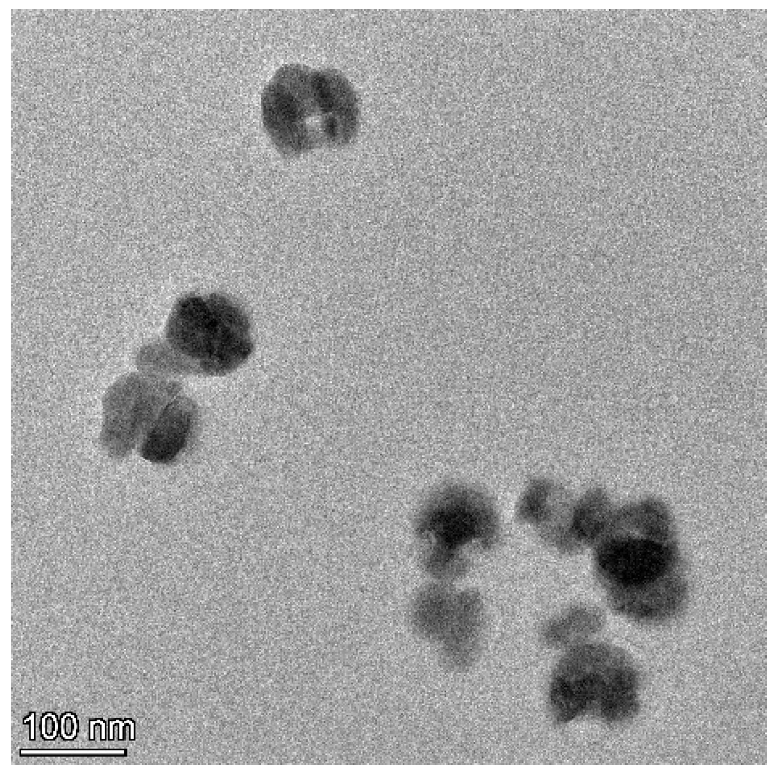 Antioxidants 14 01073 g001 Antioxidants 14 01073 g001