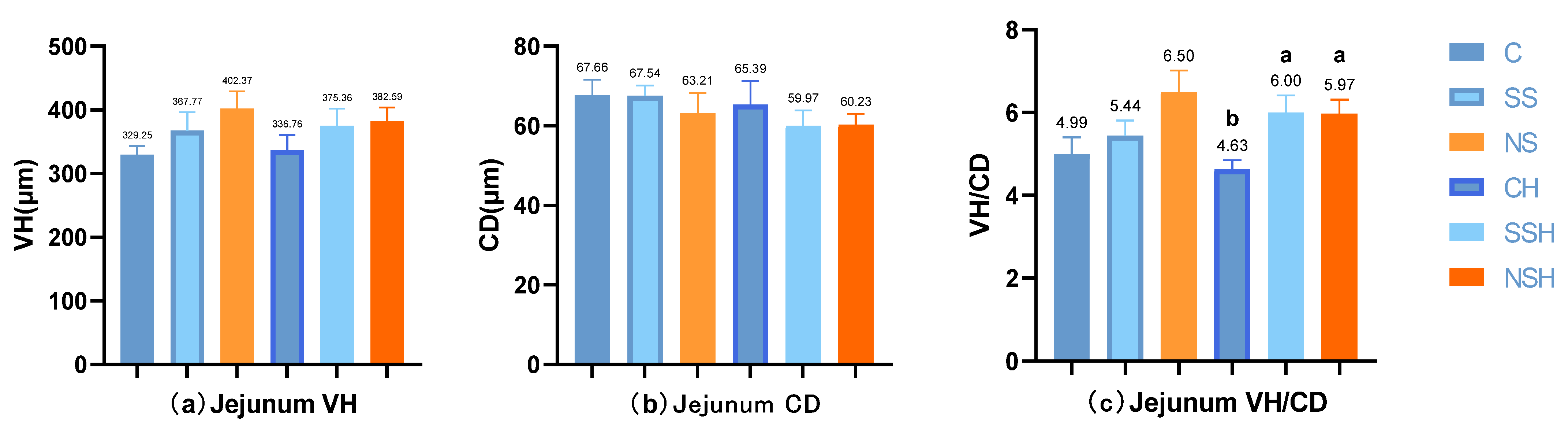 Antioxidants 14 01073 g005a Antioxidants 14 01073 g005a