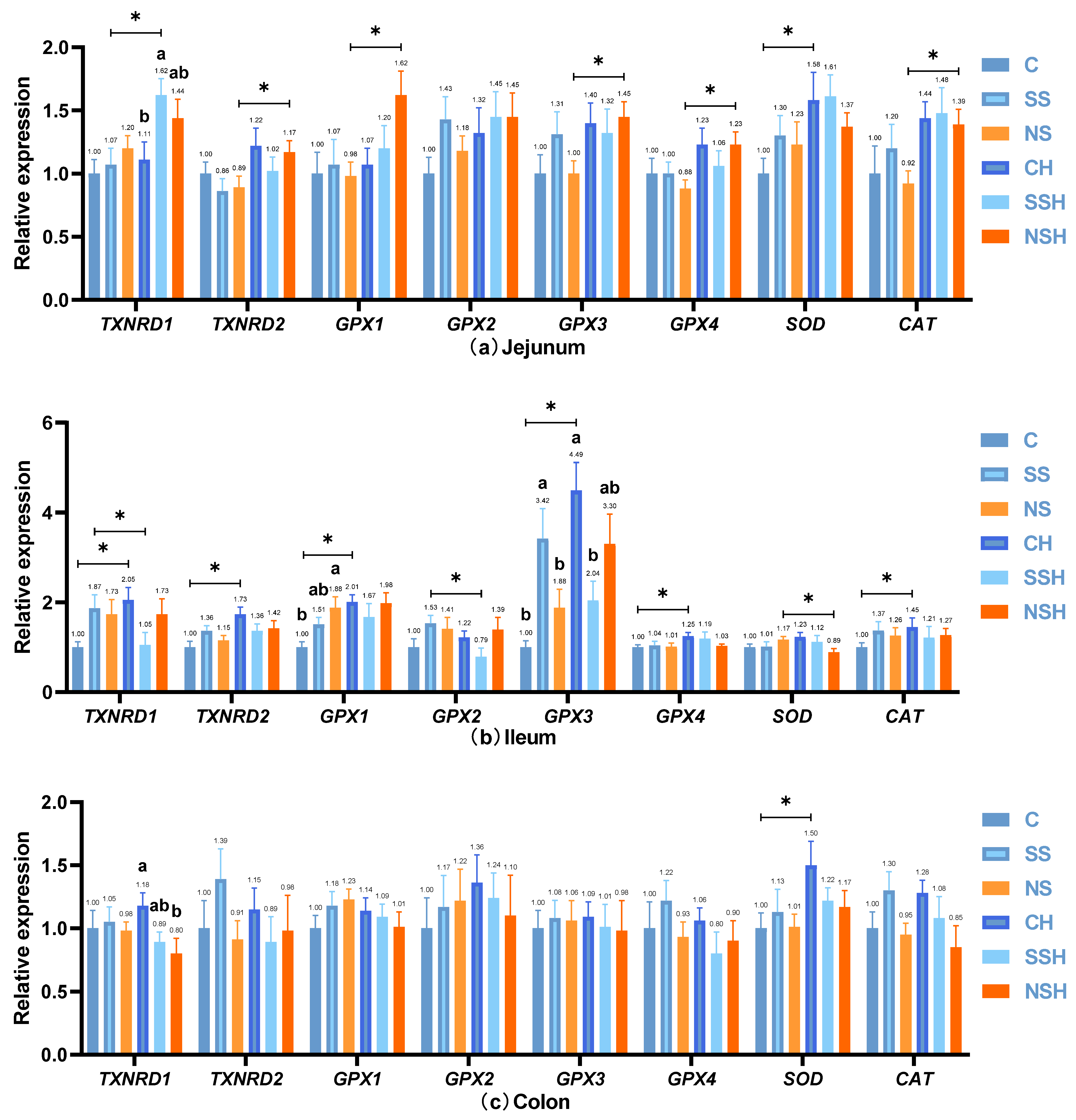 Antioxidants 14 01073 g007a Antioxidants 14 01073 g007a