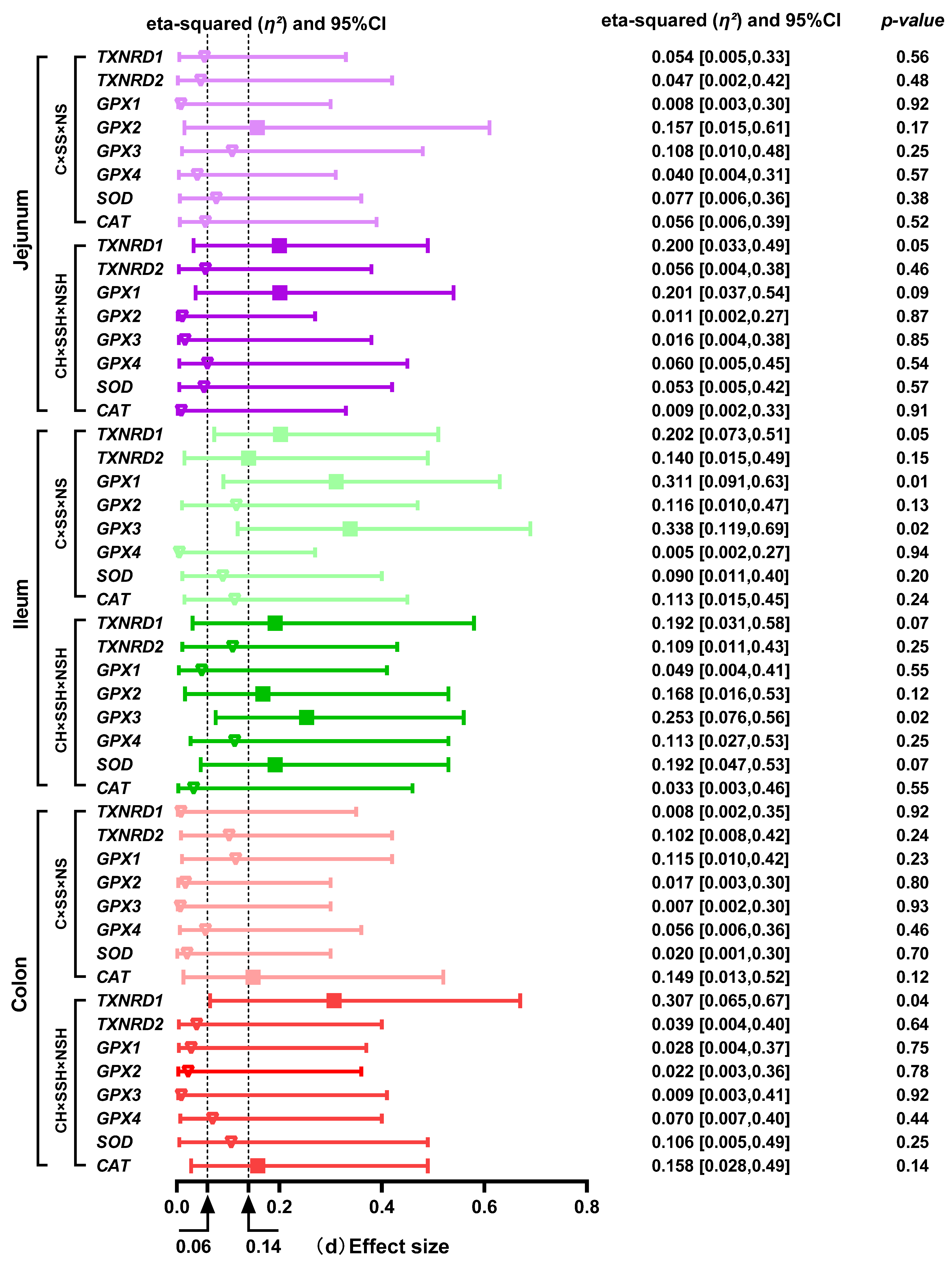 Antioxidants 14 01073 g007b Antioxidants 14 01073 g007b