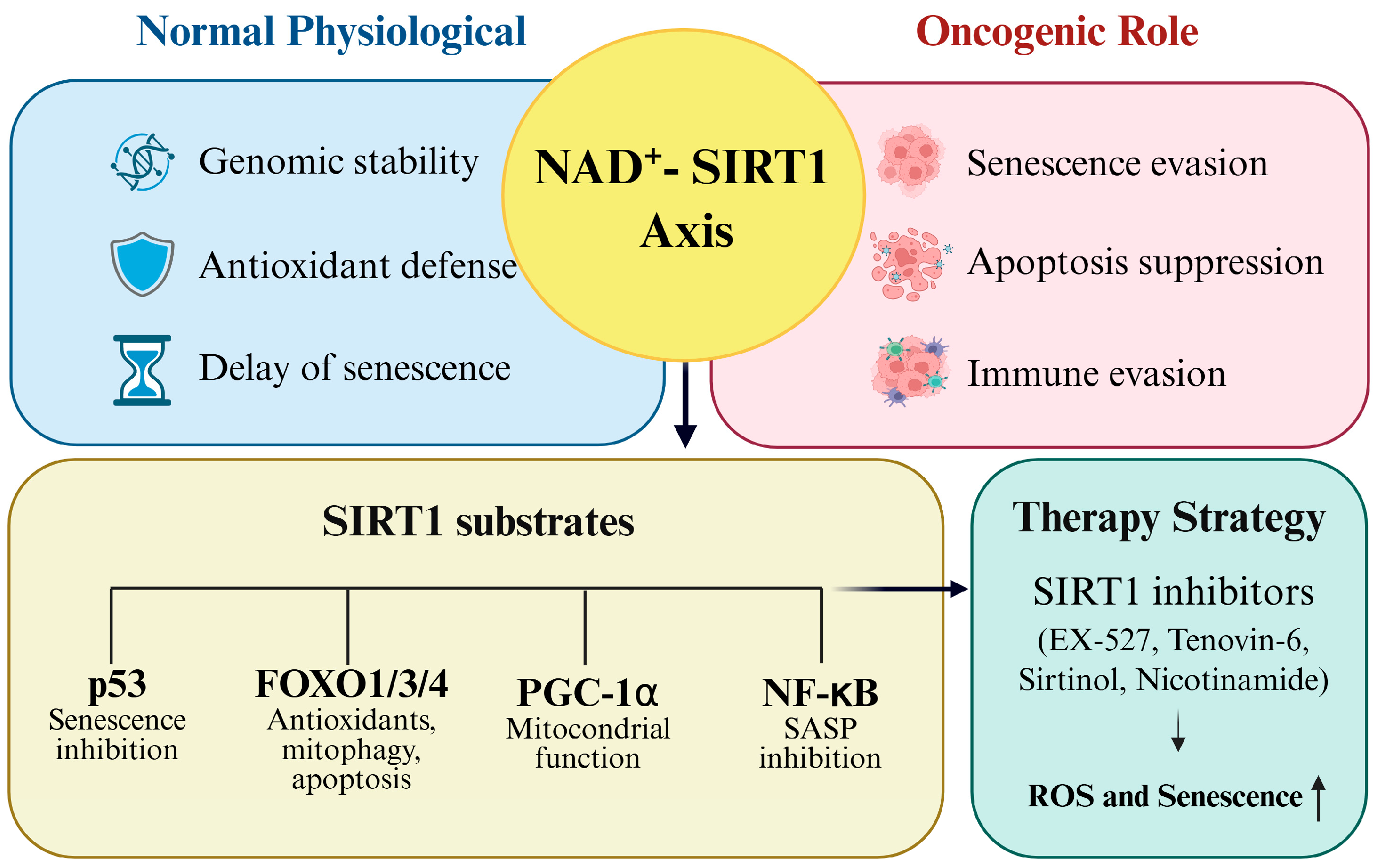 Antioxidants 14 01076 g006