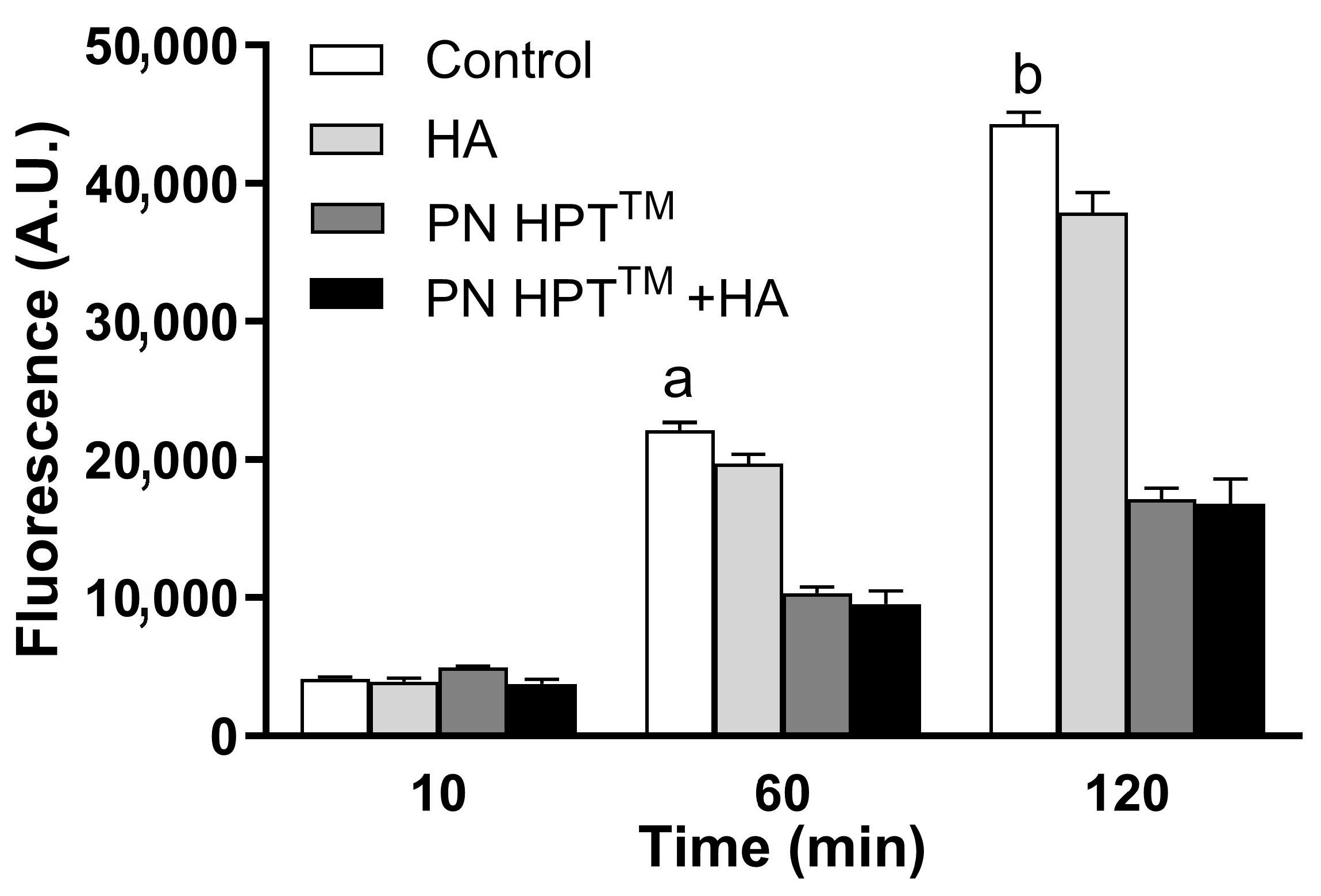 Antioxidants 14 01089 g003 Antioxidants 14 01089 g003