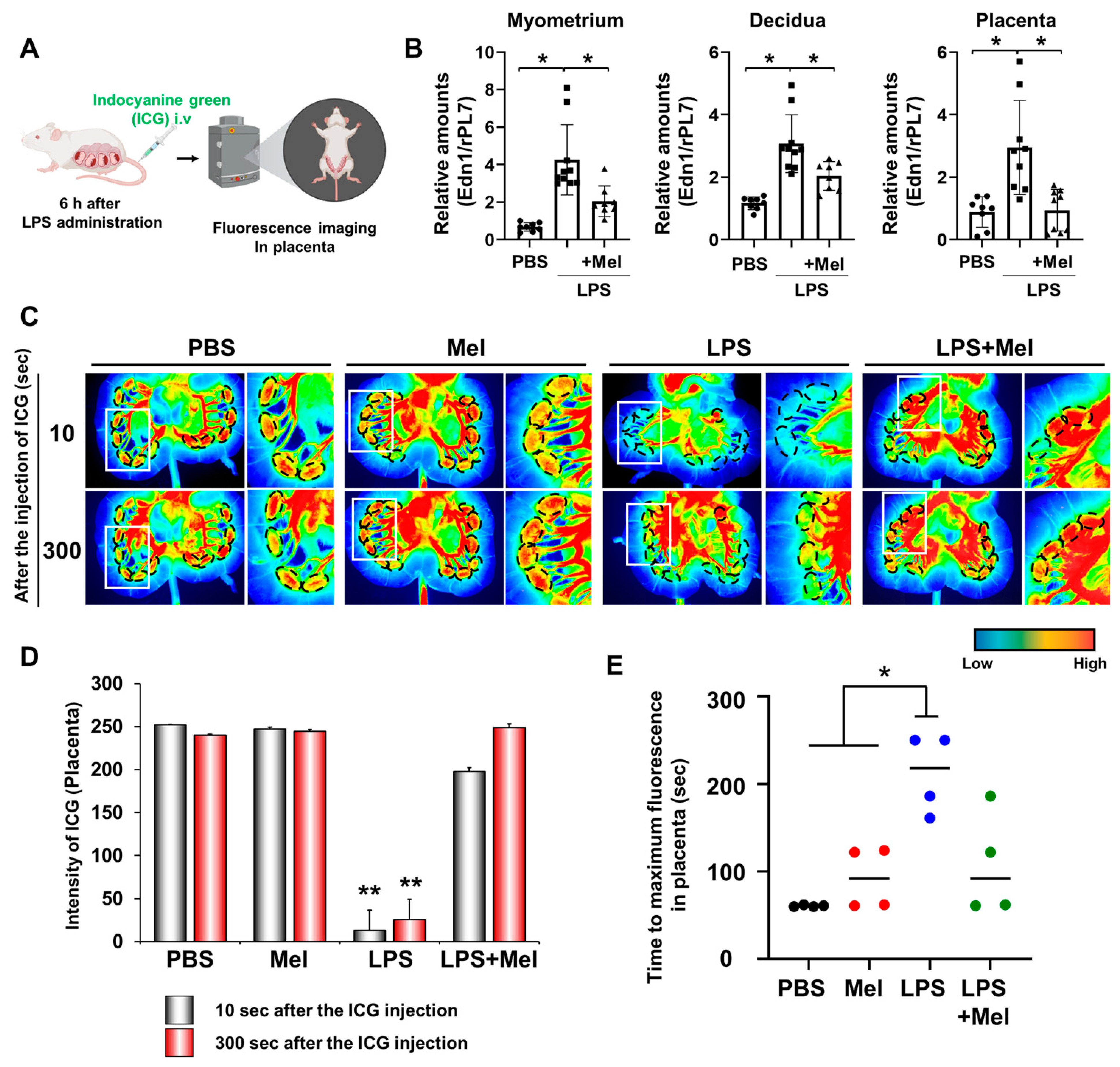 Antioxidants 14 01094 g002 Antioxidants 14 01094 g002