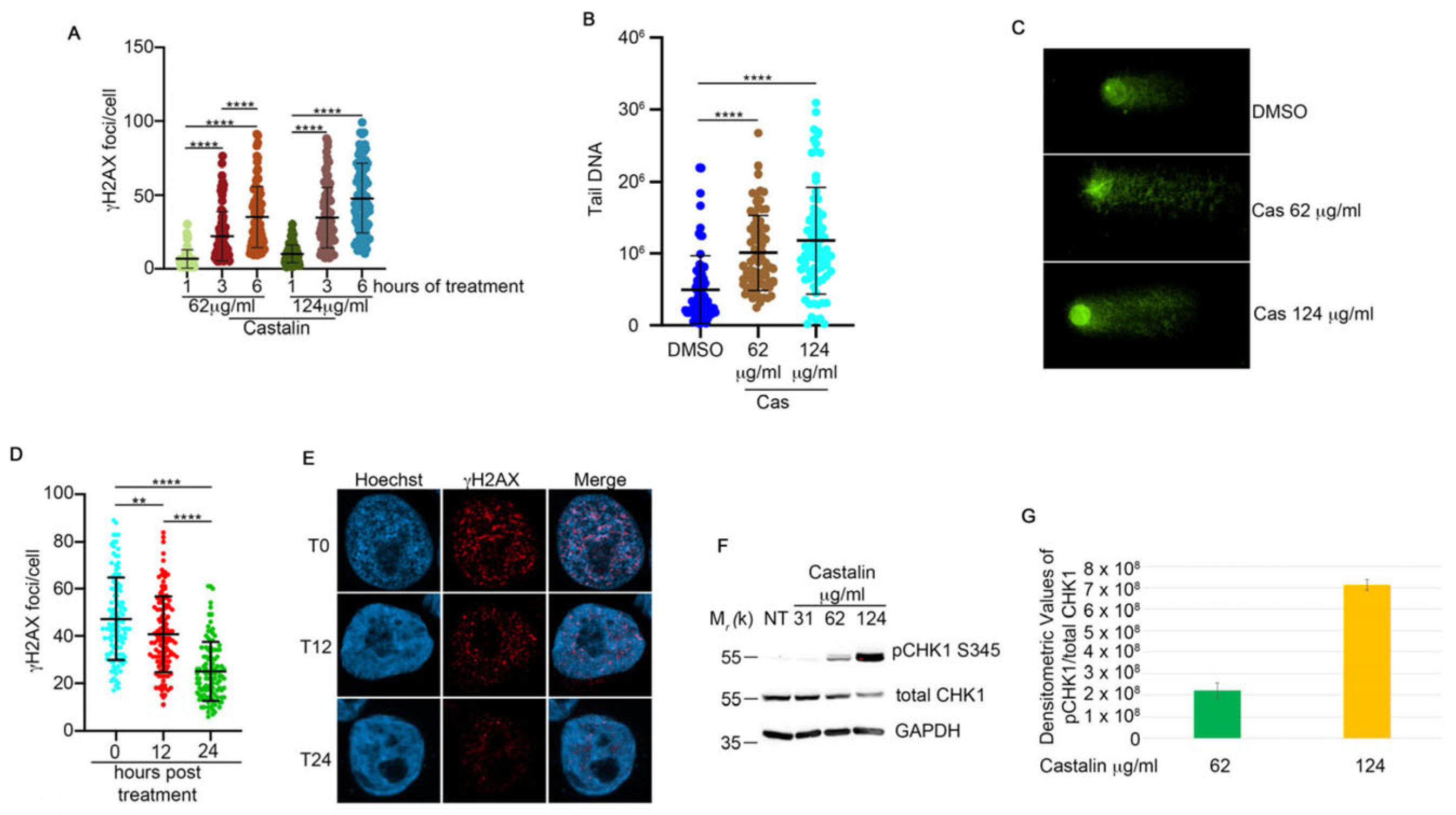 Antioxidants 14 01096 g002 Antioxidants 14 01096 g002