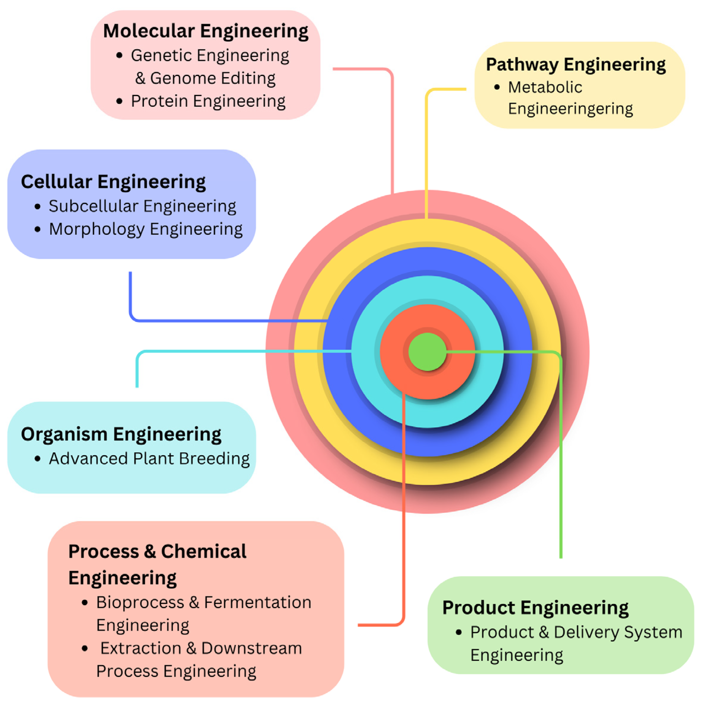 Antioxidants 14 01110 g004 Antioxidants 14 01110 g004