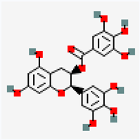 Antioxidants 14 01110 i017 Antioxidants 14 01110 i017