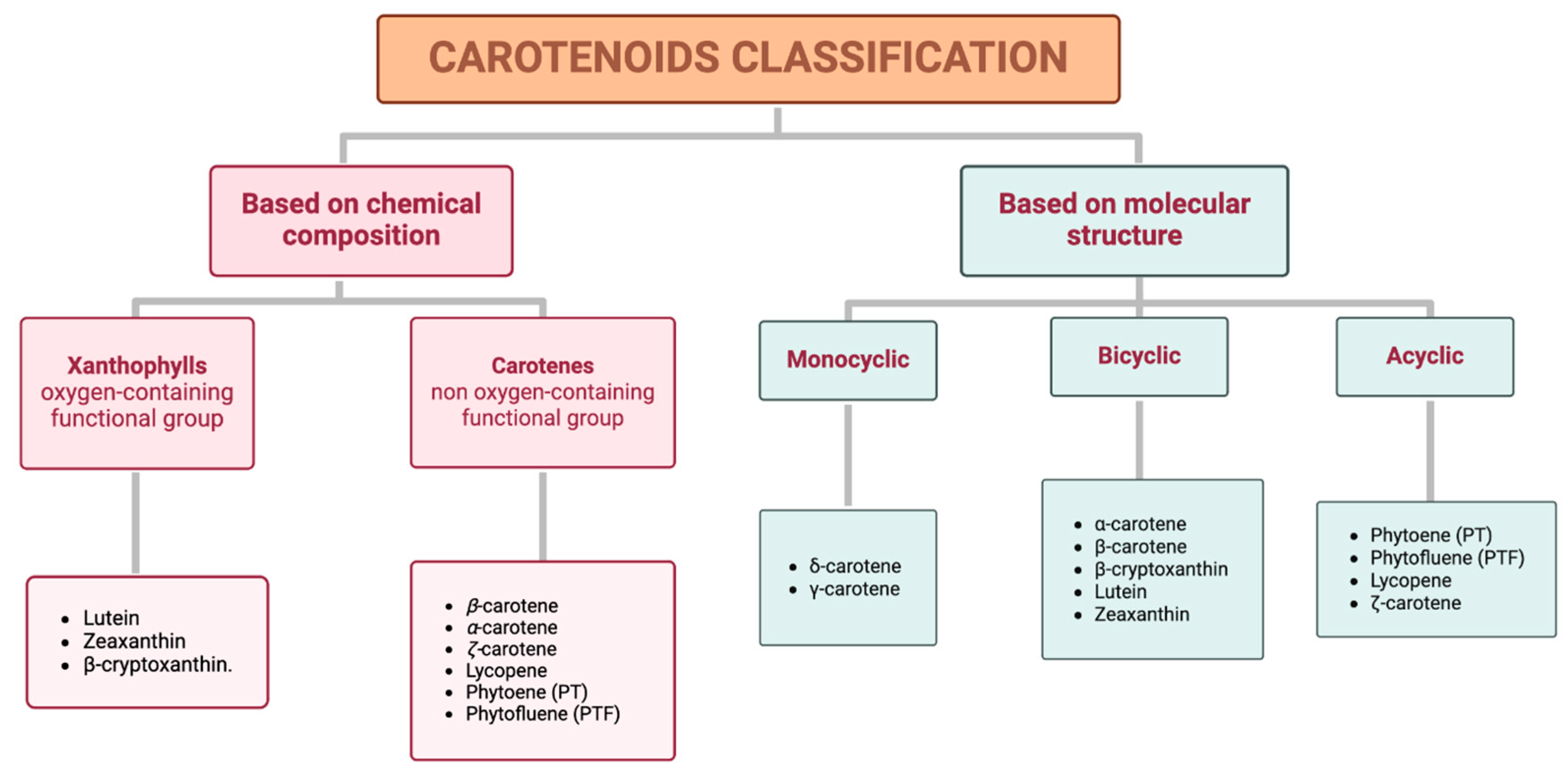 Antioxidants 14 01111 g001 Antioxidants 14 01111 g001