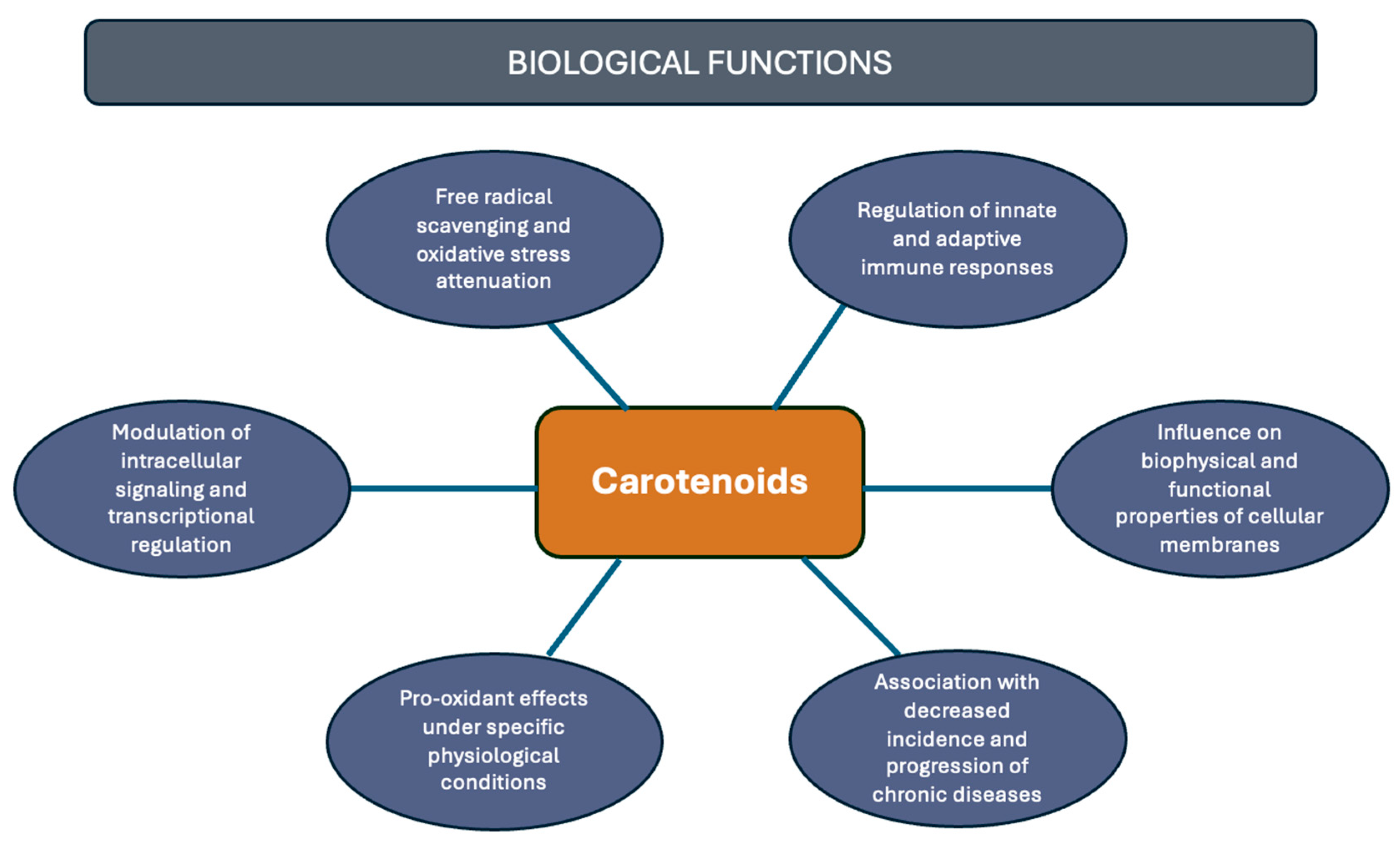 Antioxidants 14 01111 g002 Antioxidants 14 01111 g002