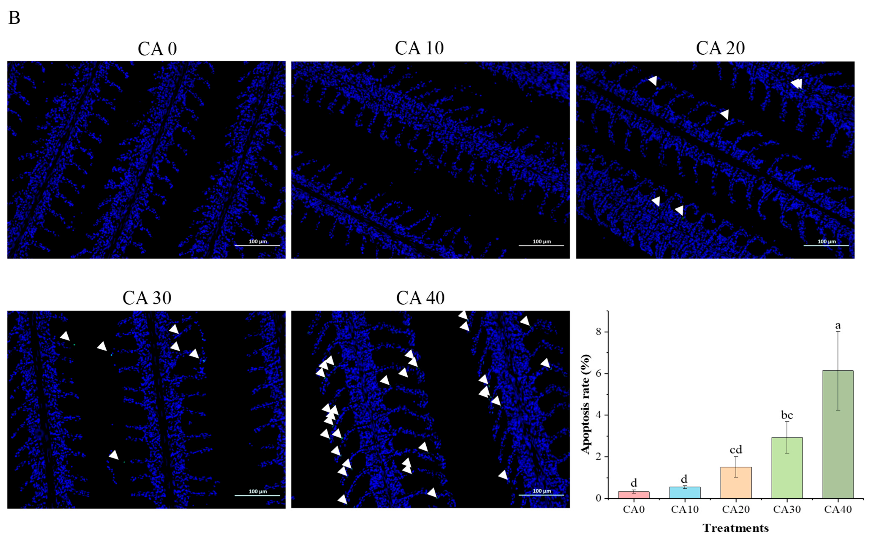 Antioxidants 14 01112 g001b
