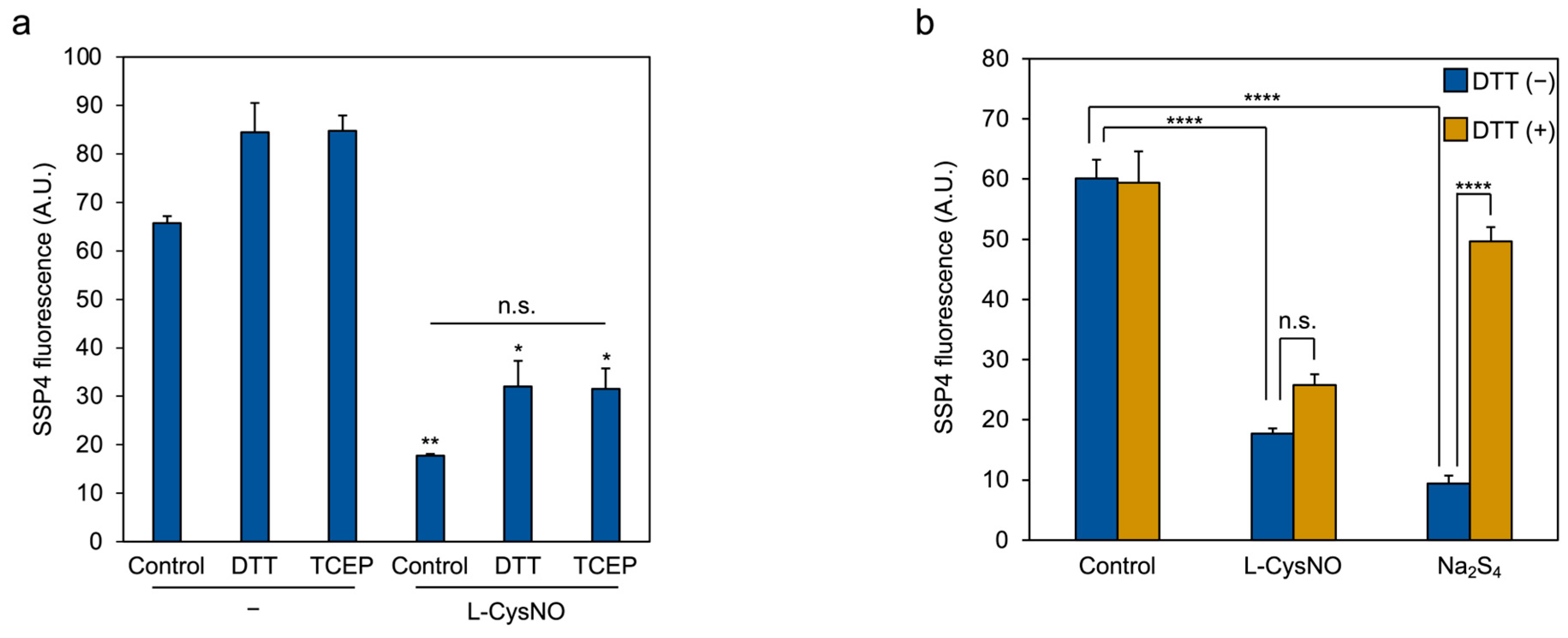Antioxidants 14 01113 g002 Antioxidants 14 01113 g002