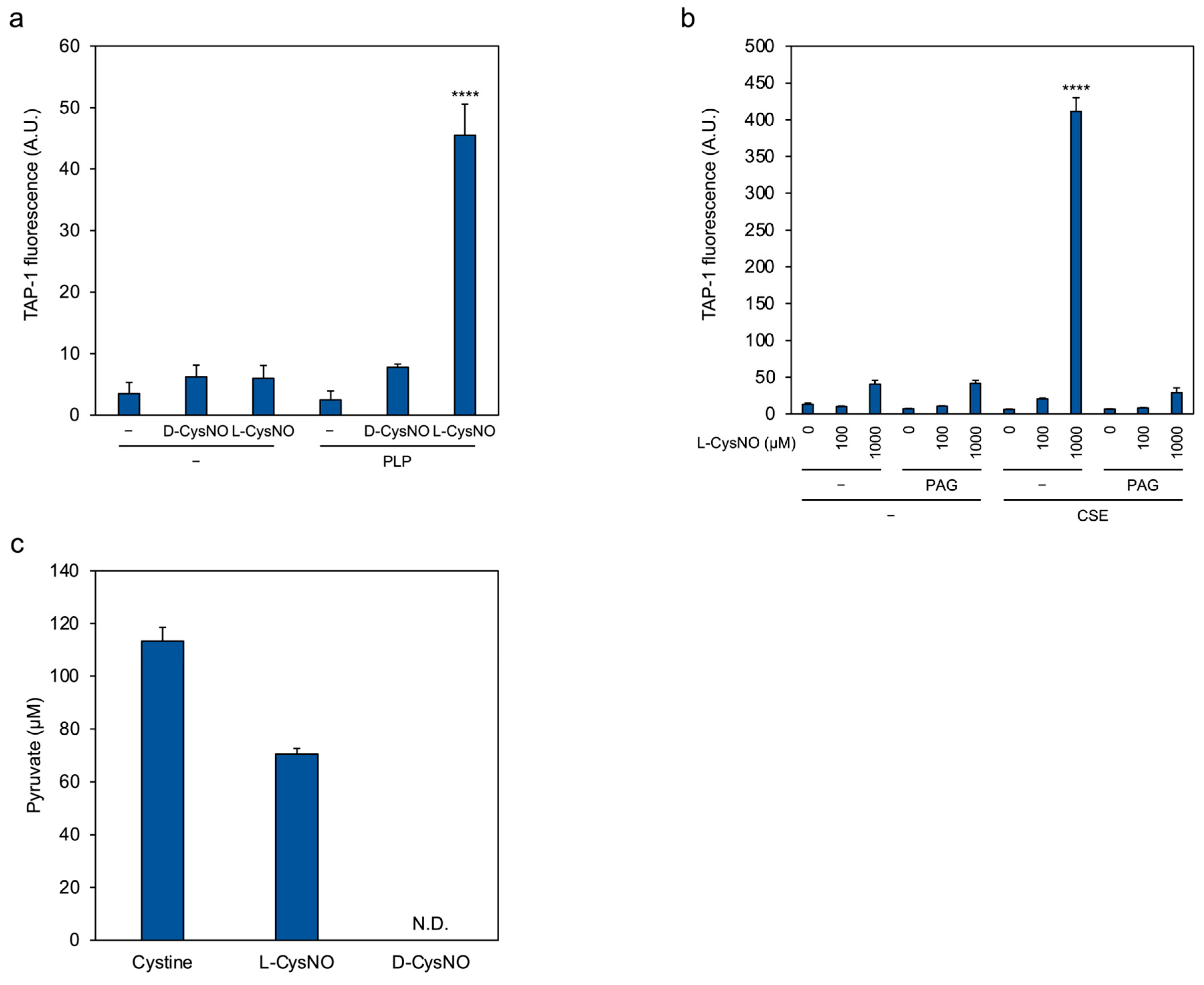 Antioxidants 14 01113 g004 Antioxidants 14 01113 g004