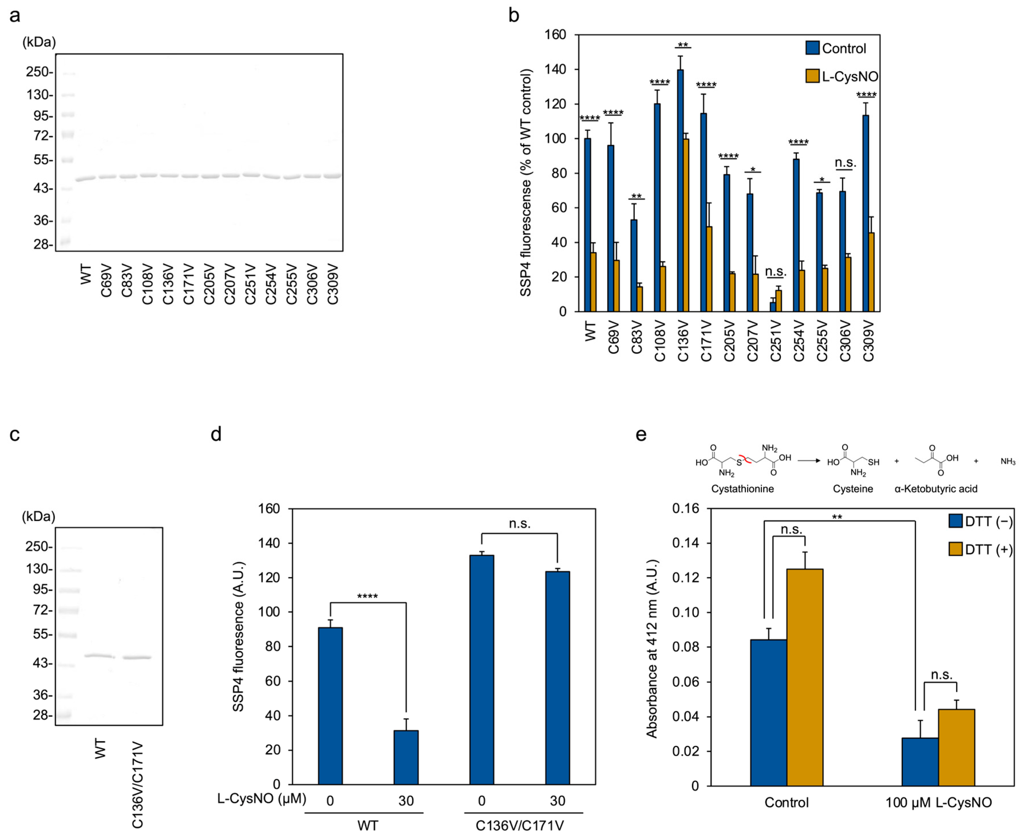 Antioxidants 14 01113 g006 Antioxidants 14 01113 g006