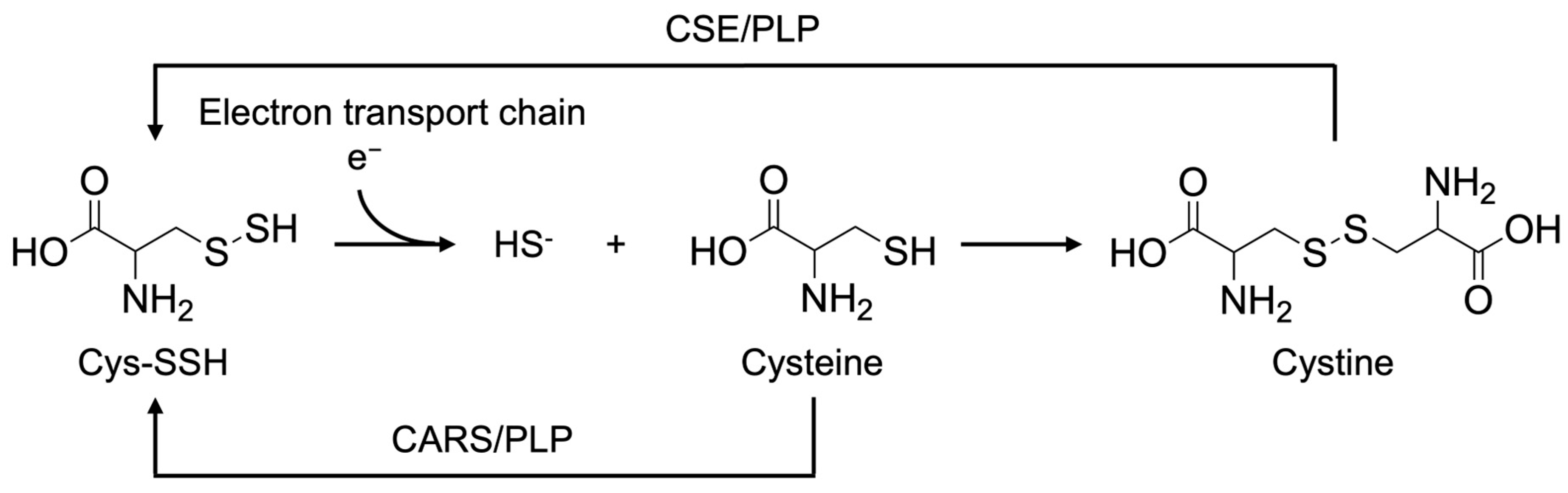 Antioxidants 14 01113 sch001 Antioxidants 14 01113 sch001