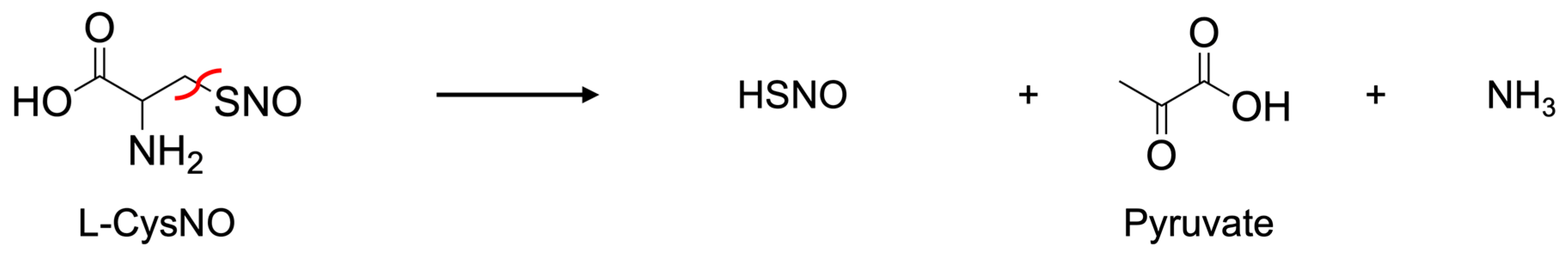 Antioxidants 14 01113 sch003 Antioxidants 14 01113 sch003