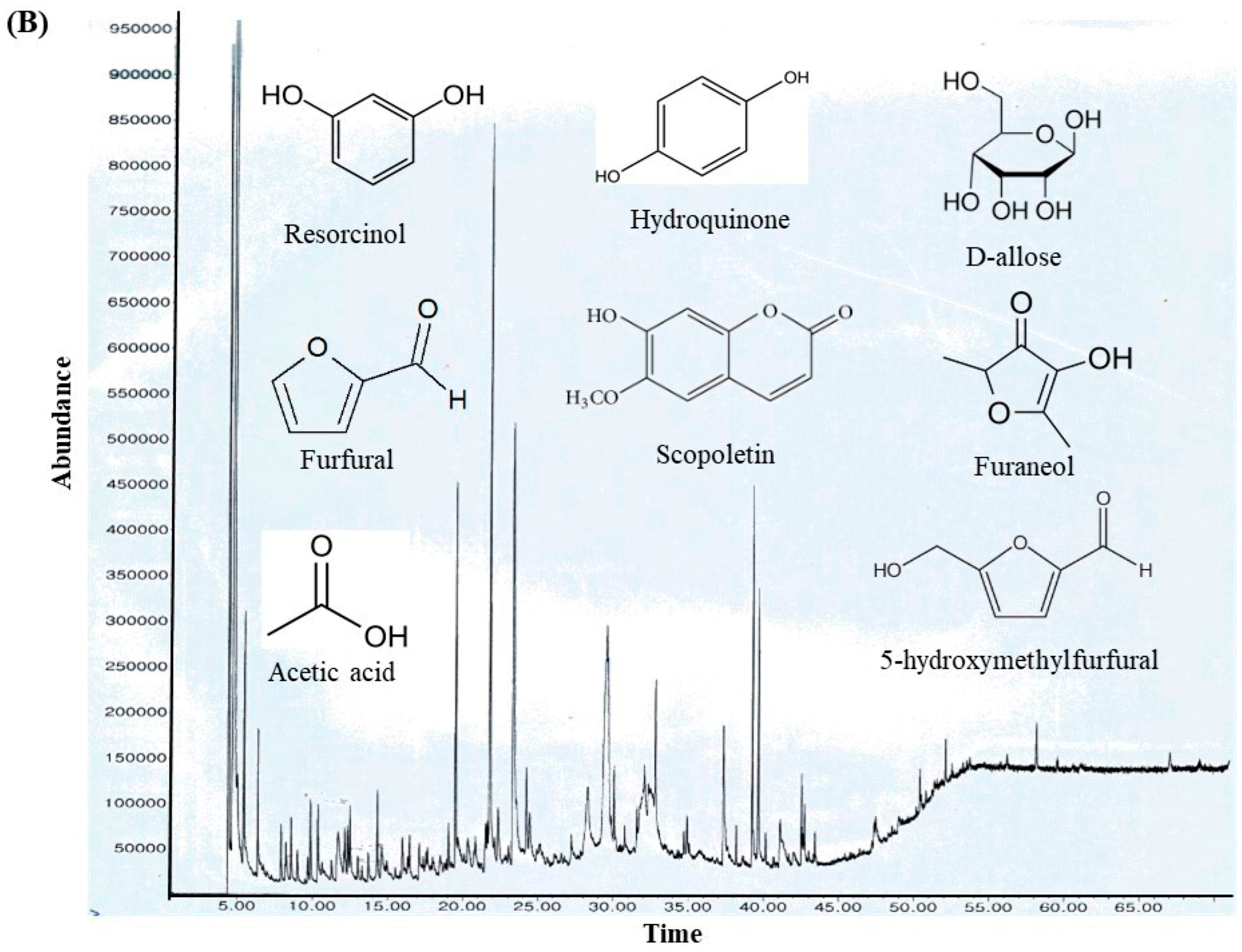 Antioxidants 14 01114 g002b Antioxidants 14 01114 g002b