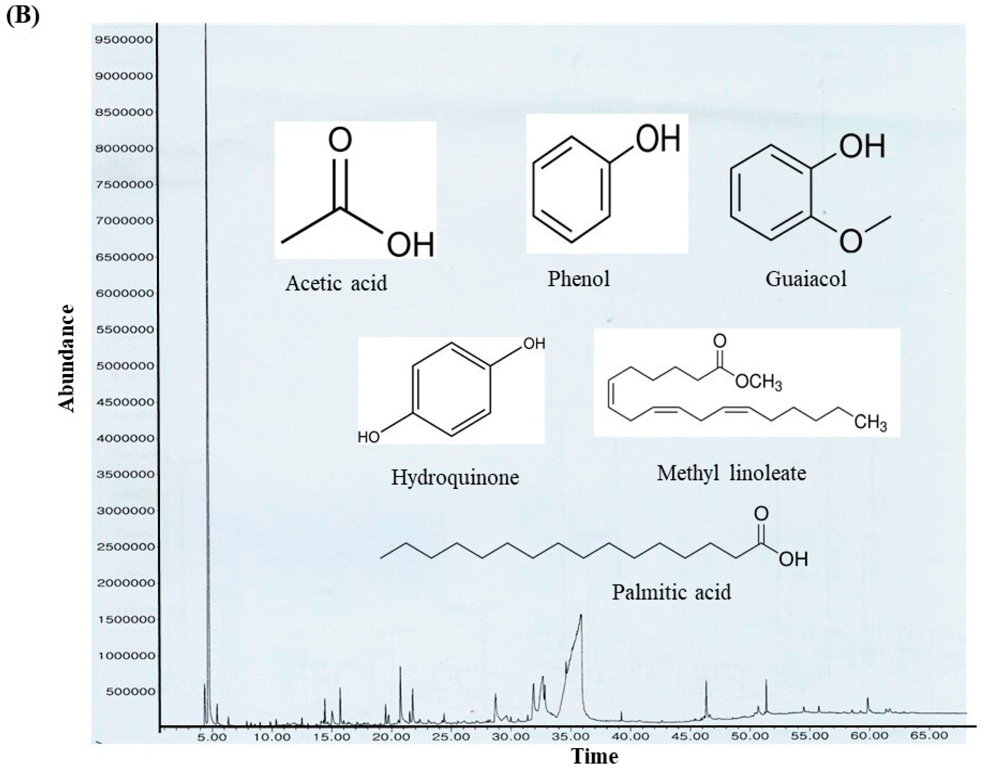 Antioxidants 14 01114 g003b Antioxidants 14 01114 g003b