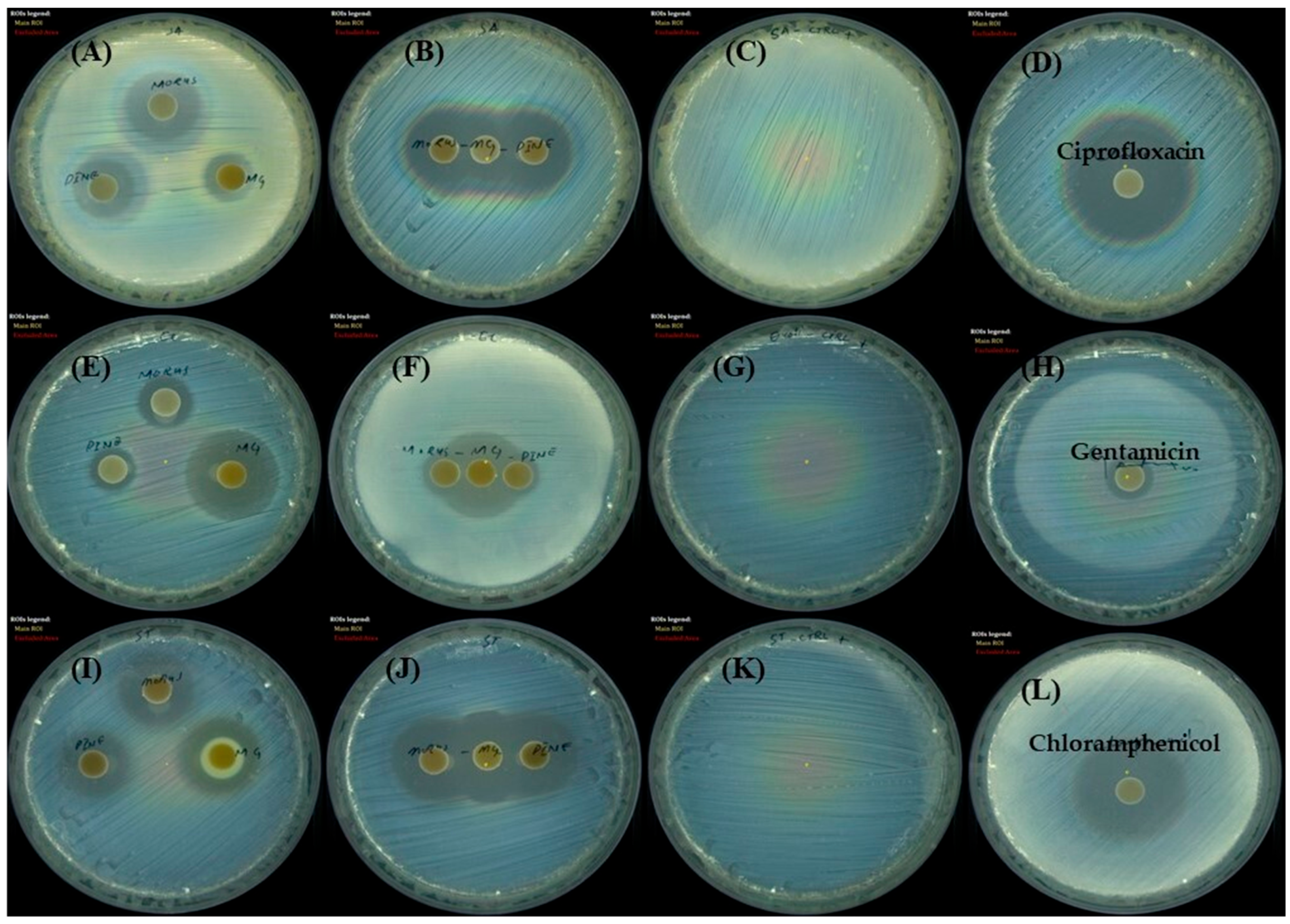 Antioxidants 14 01114 g007 Antioxidants 14 01114 g007