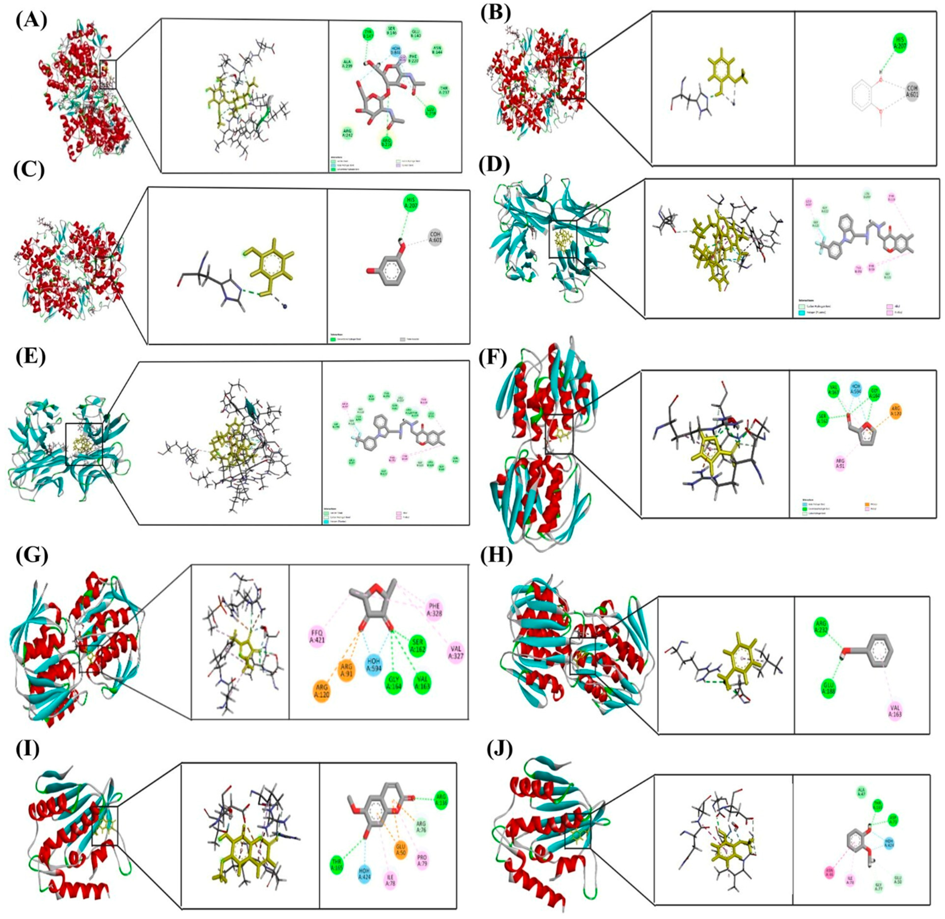 Antioxidants 14 01114 g013 Antioxidants 14 01114 g013