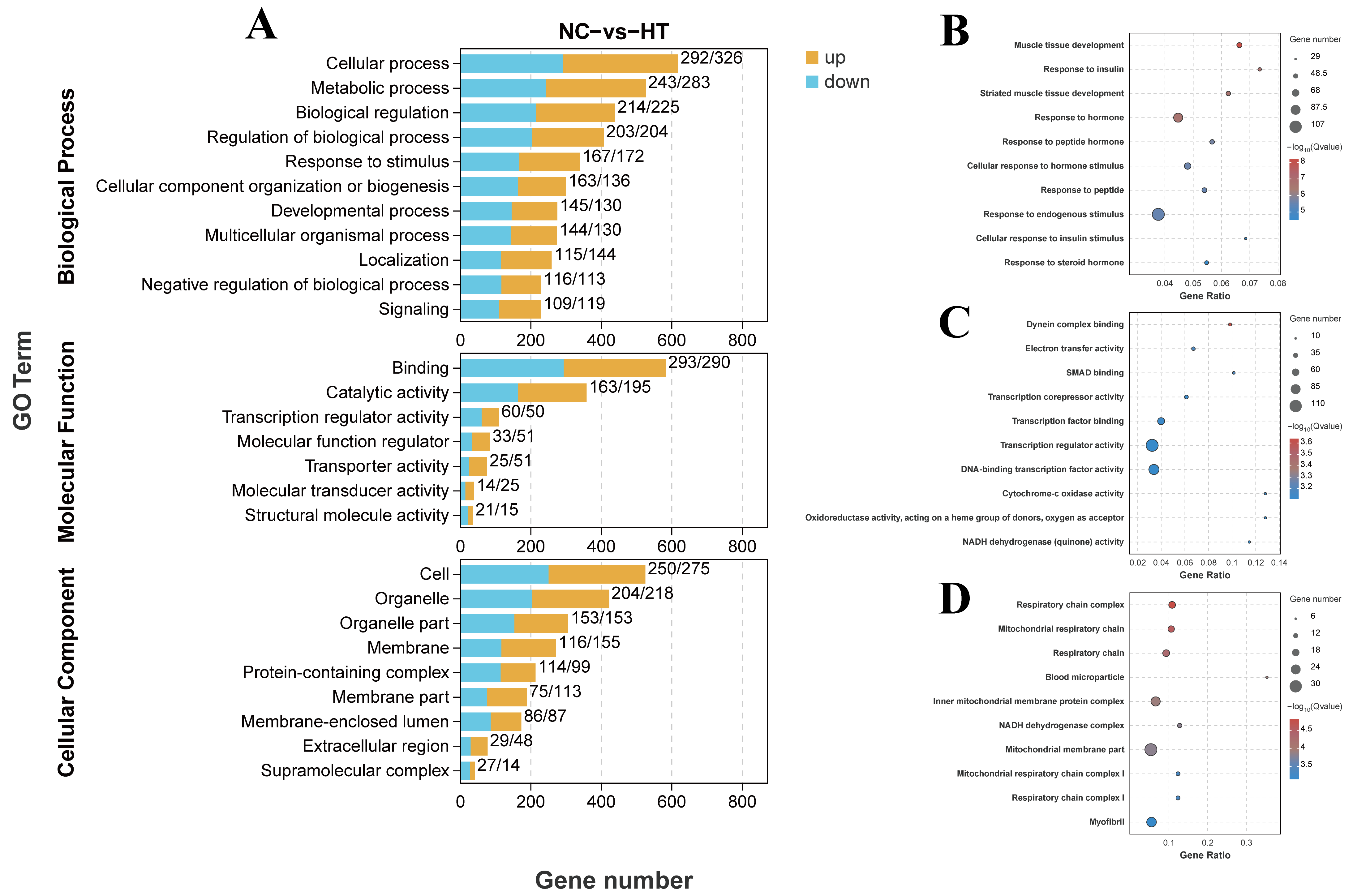 Antioxidants 14 01115 g005