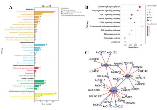 ケム Integrated Metabolomics and Transcriptomics Reveals Metabolic