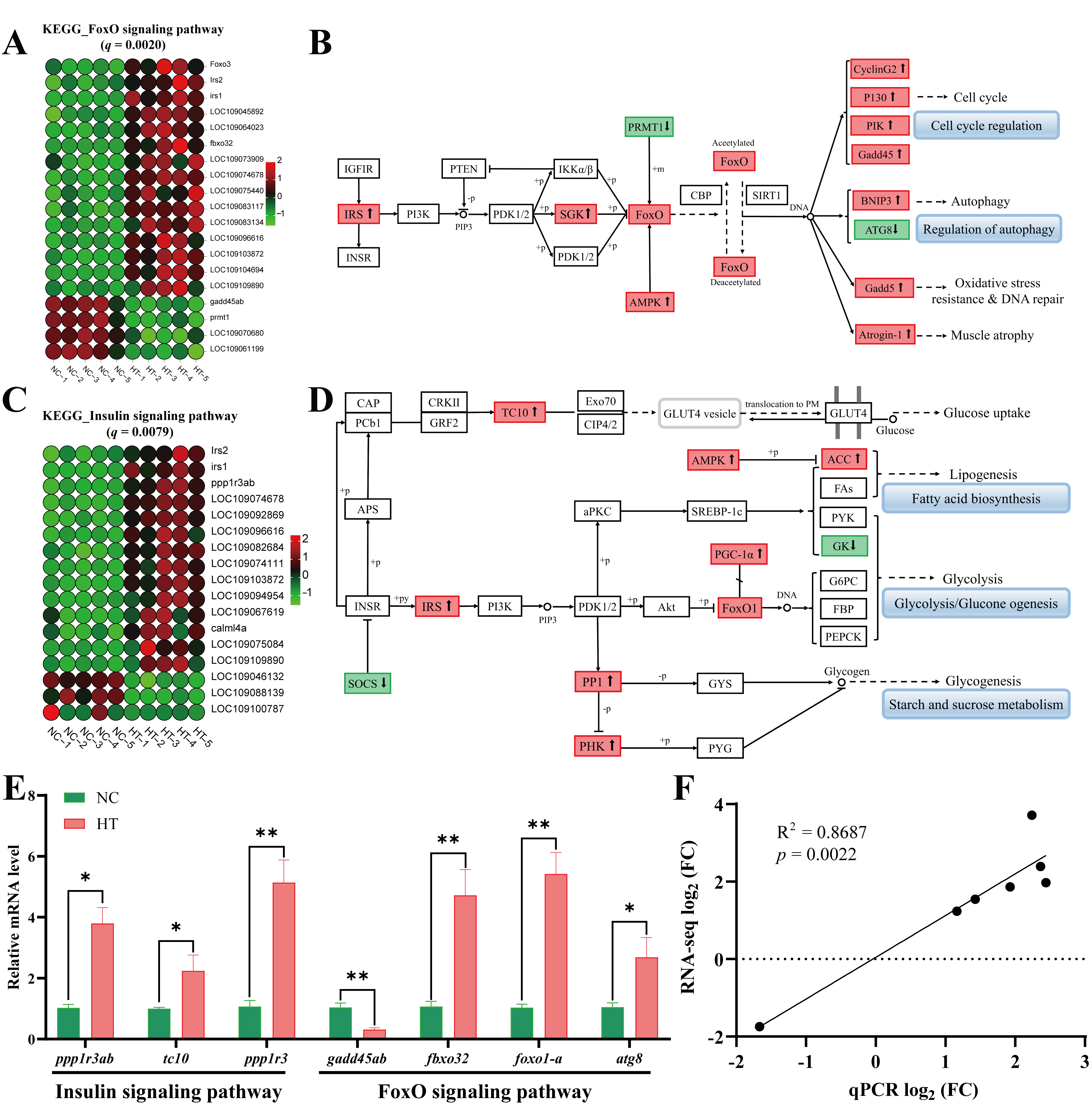 Antioxidants 14 01115 g007