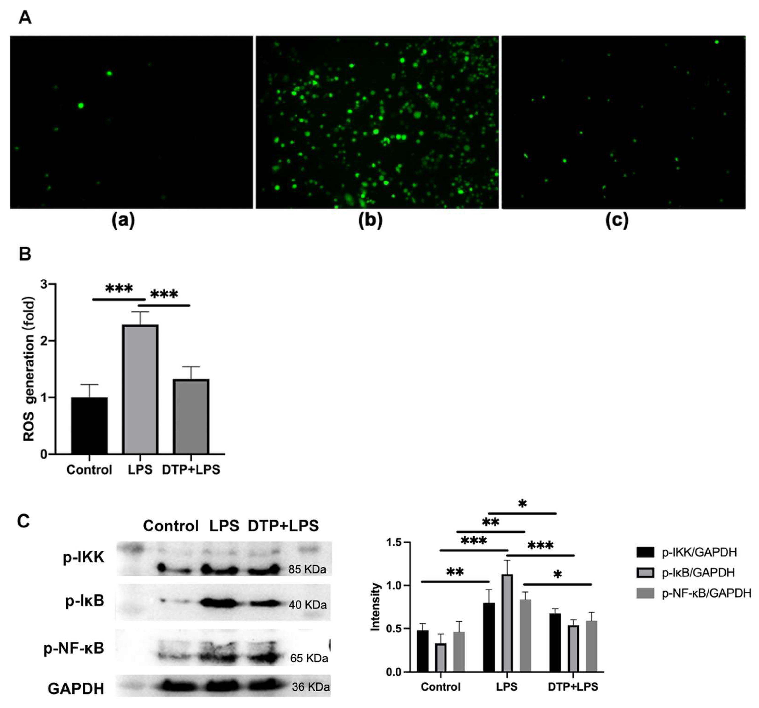 Antioxidants 14 01117 g008 Antioxidants 14 01117 g008