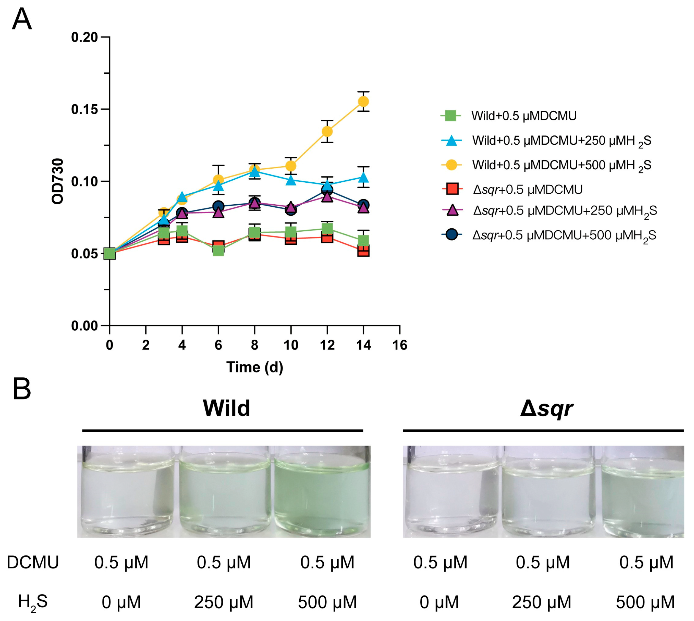 Antioxidants 14 01122 g001 Antioxidants 14 01122 g001